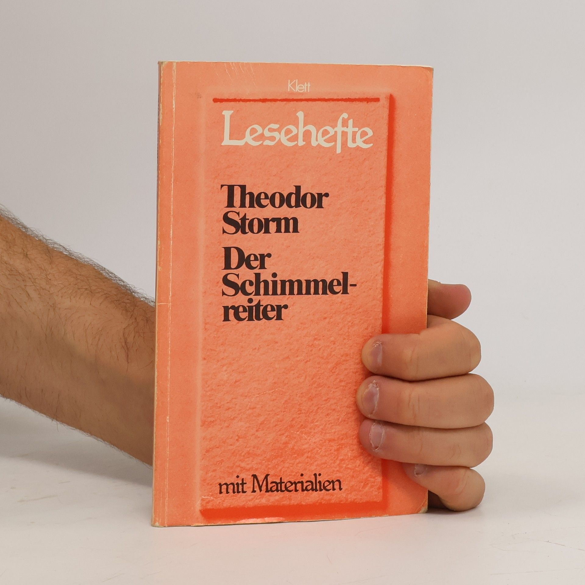 Hans Theodor Woldsen Storm Der Schimmelreiter