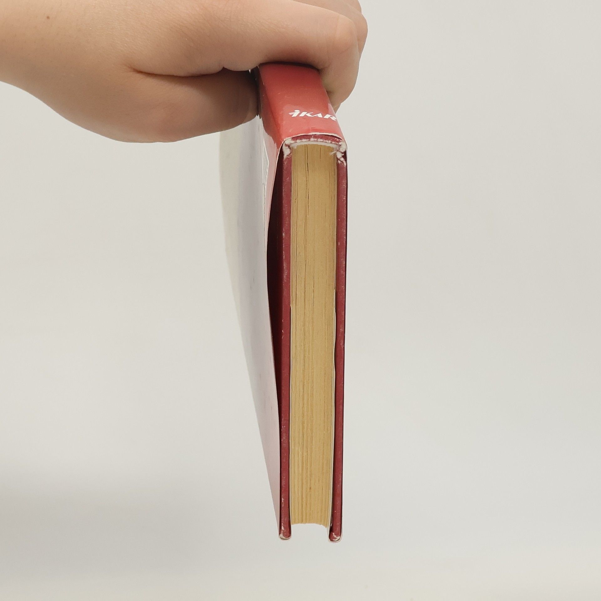 Danielle Steel Pět dní v Paříži