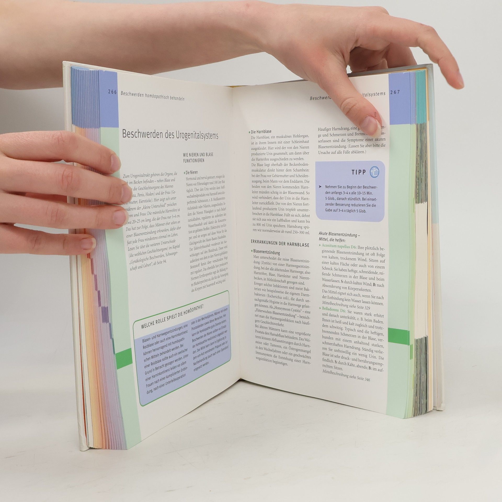 Markus Wiesenauer Das große Homöopathie handbuch