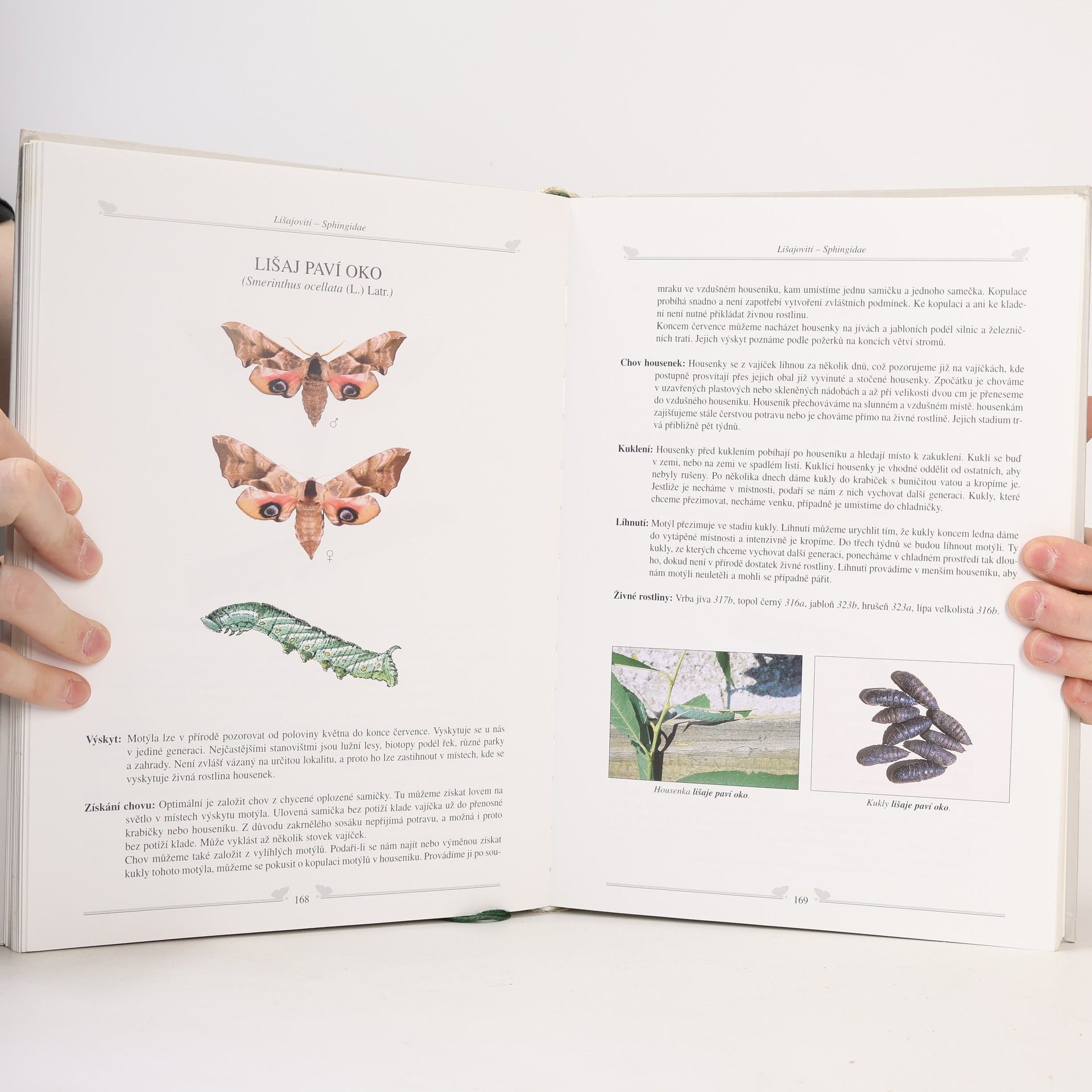 Jan Krnáč Začínáme s entomologií a chovem motýlů
