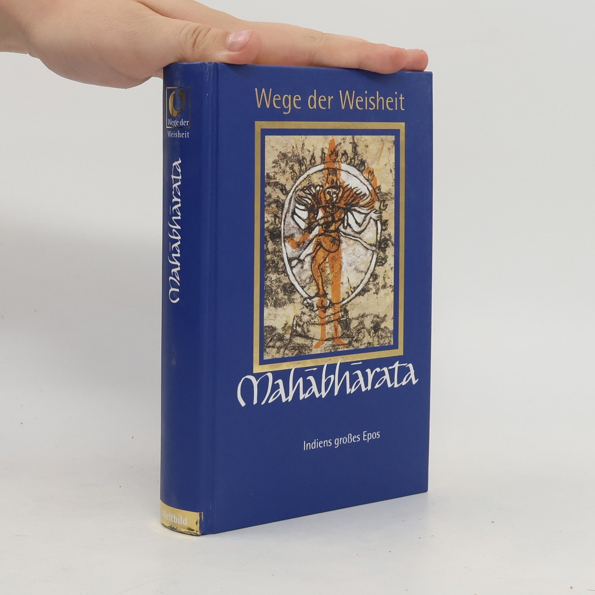Auteurscollectief Mahabharata. Indiens großes Epos