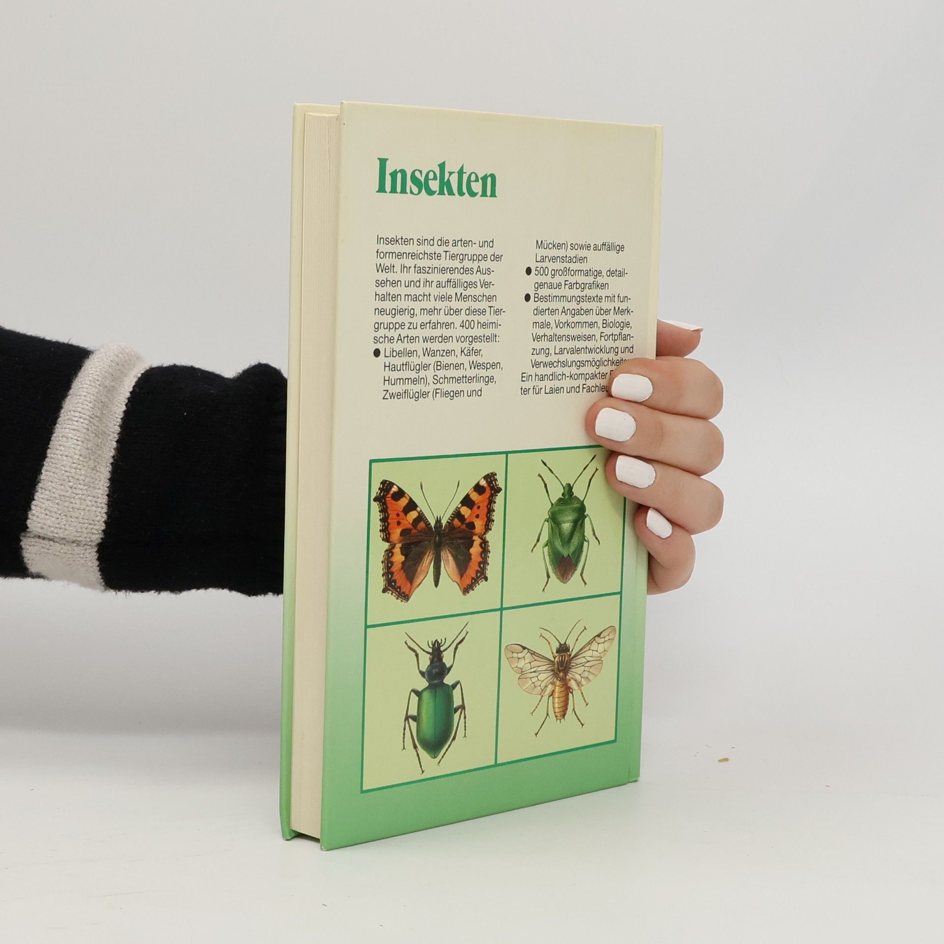 Wolfgang Dierl Insekten