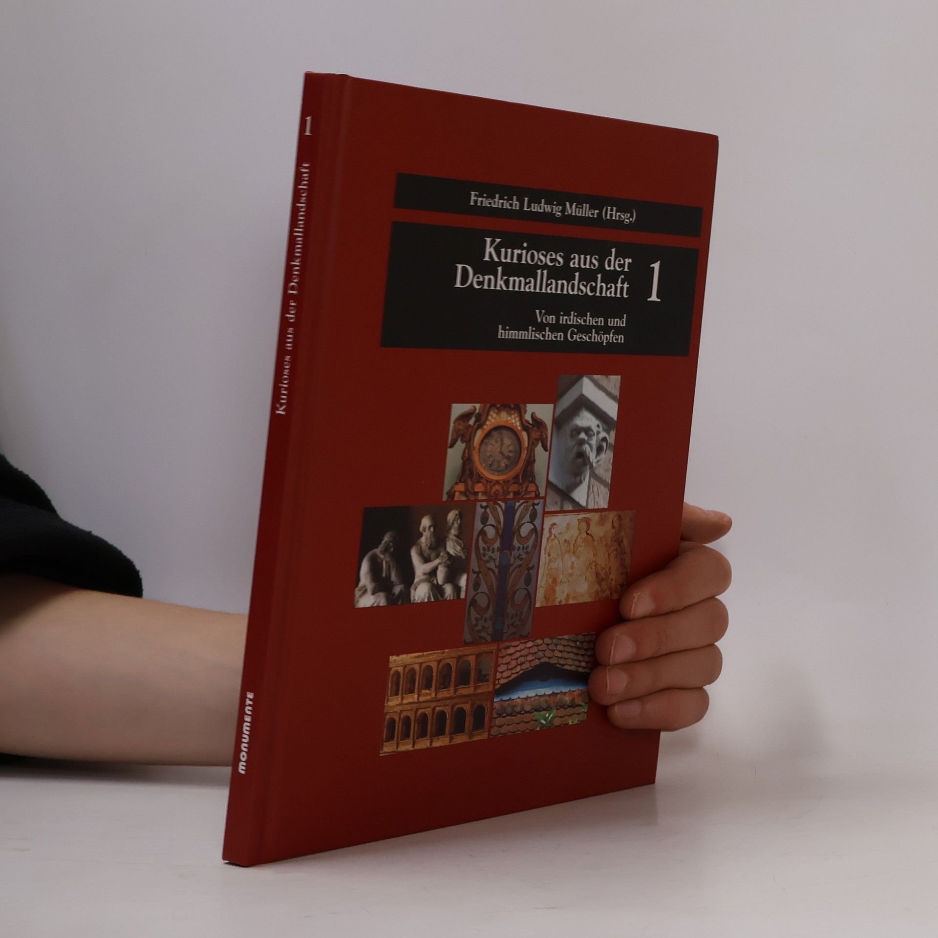 Kolektiv autorů Kurioses aus der Denkmallandschaft