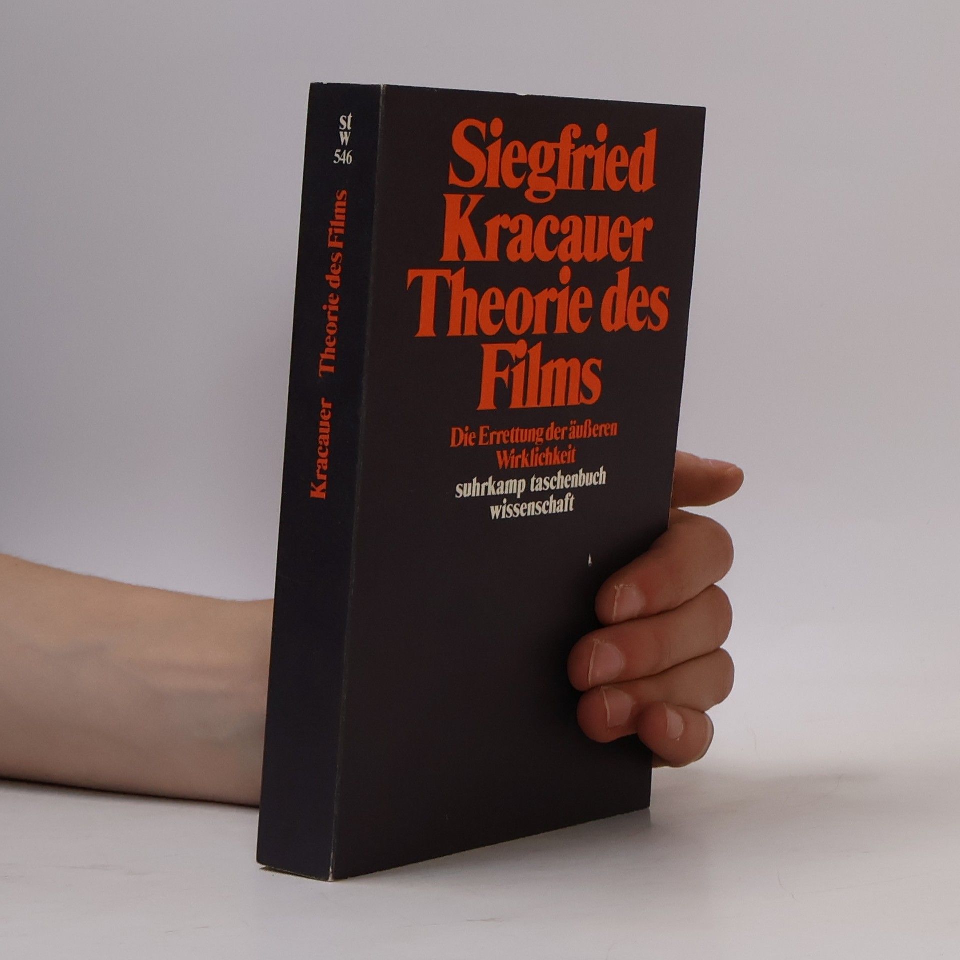 Siegfried Kracauer Theorie des Films