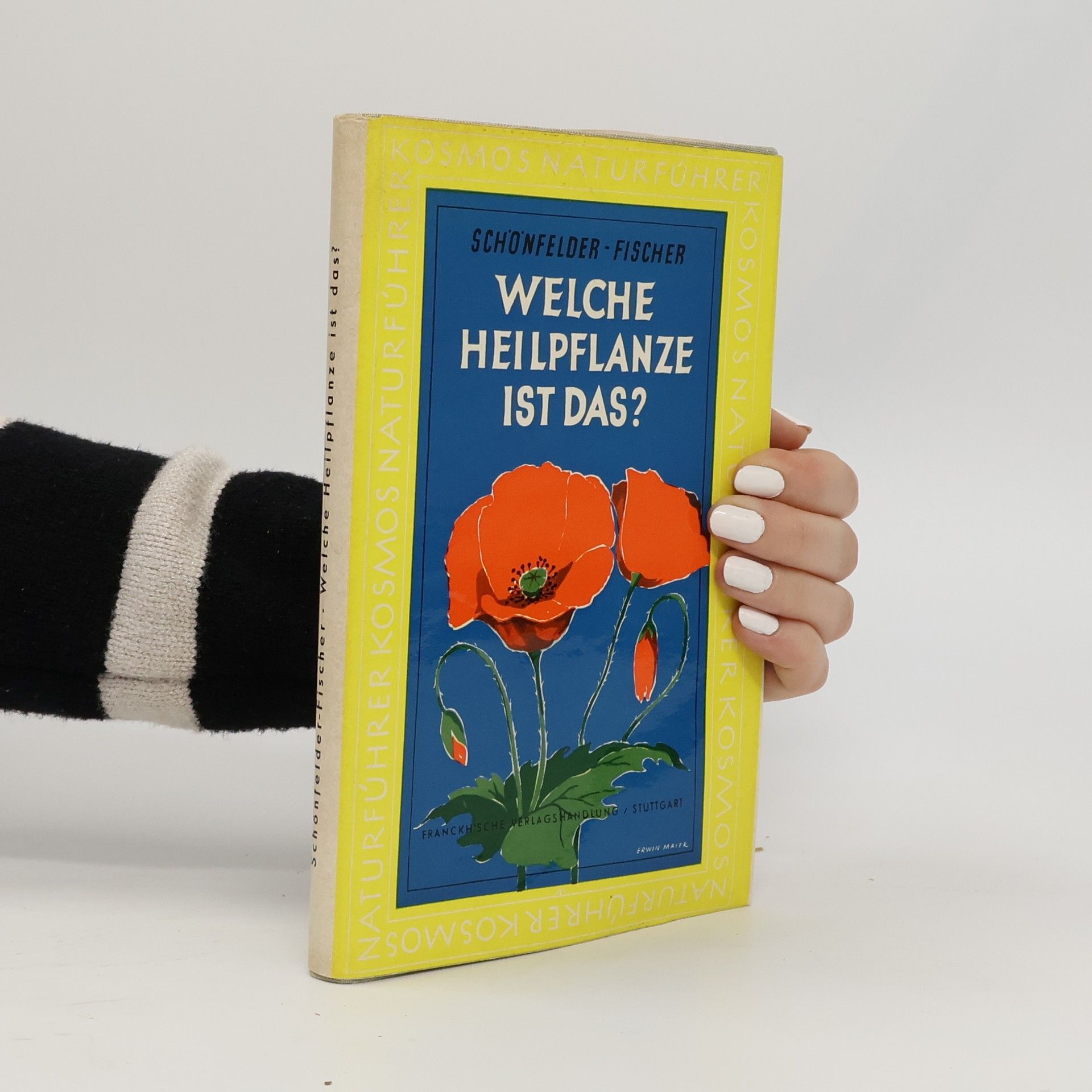Autorenkollektiv Welche Heilpflanze ist das?