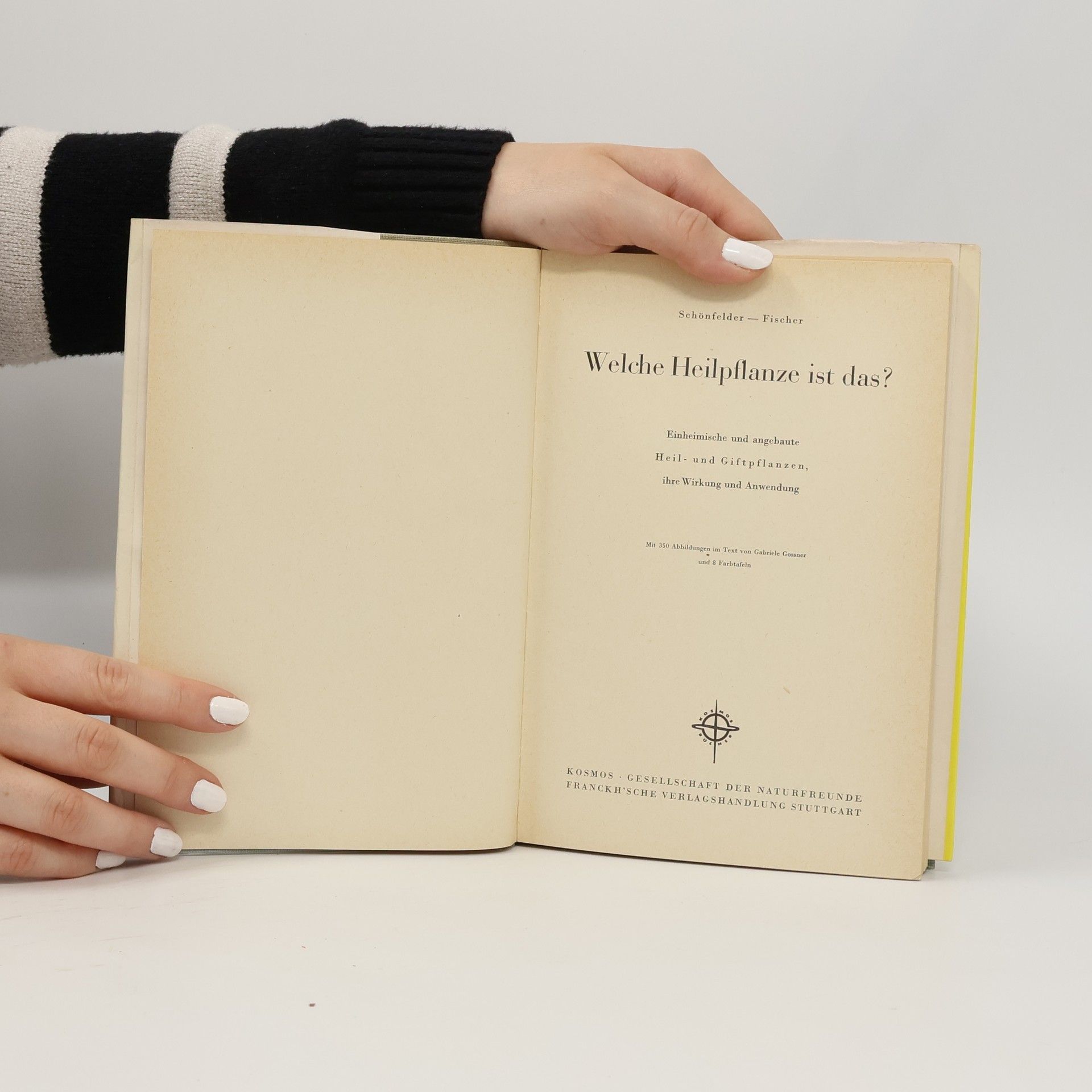Autorenkollektiv Welche Heilpflanze ist das?