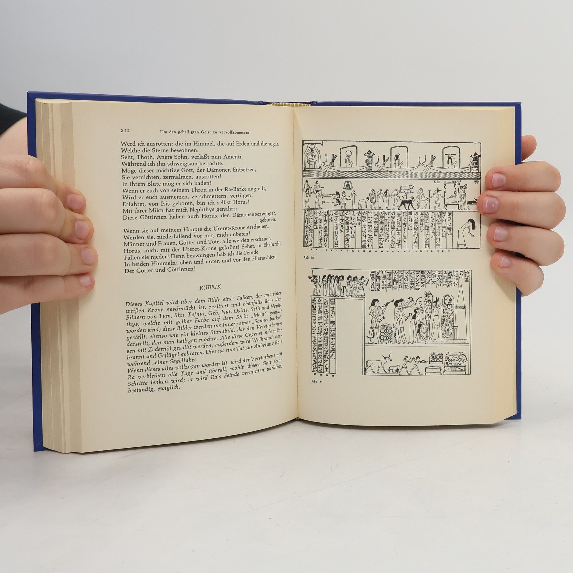 Grégoire Kolpaktchy Das ägyptische totenbuch