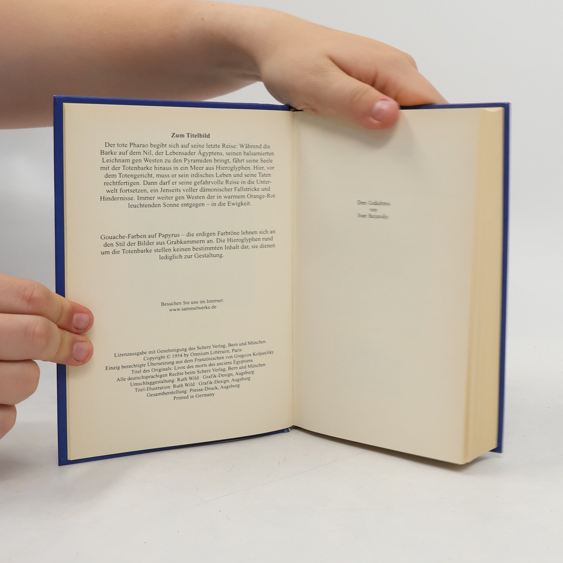 Grégoire Kolpaktchy Das ägyptische totenbuch