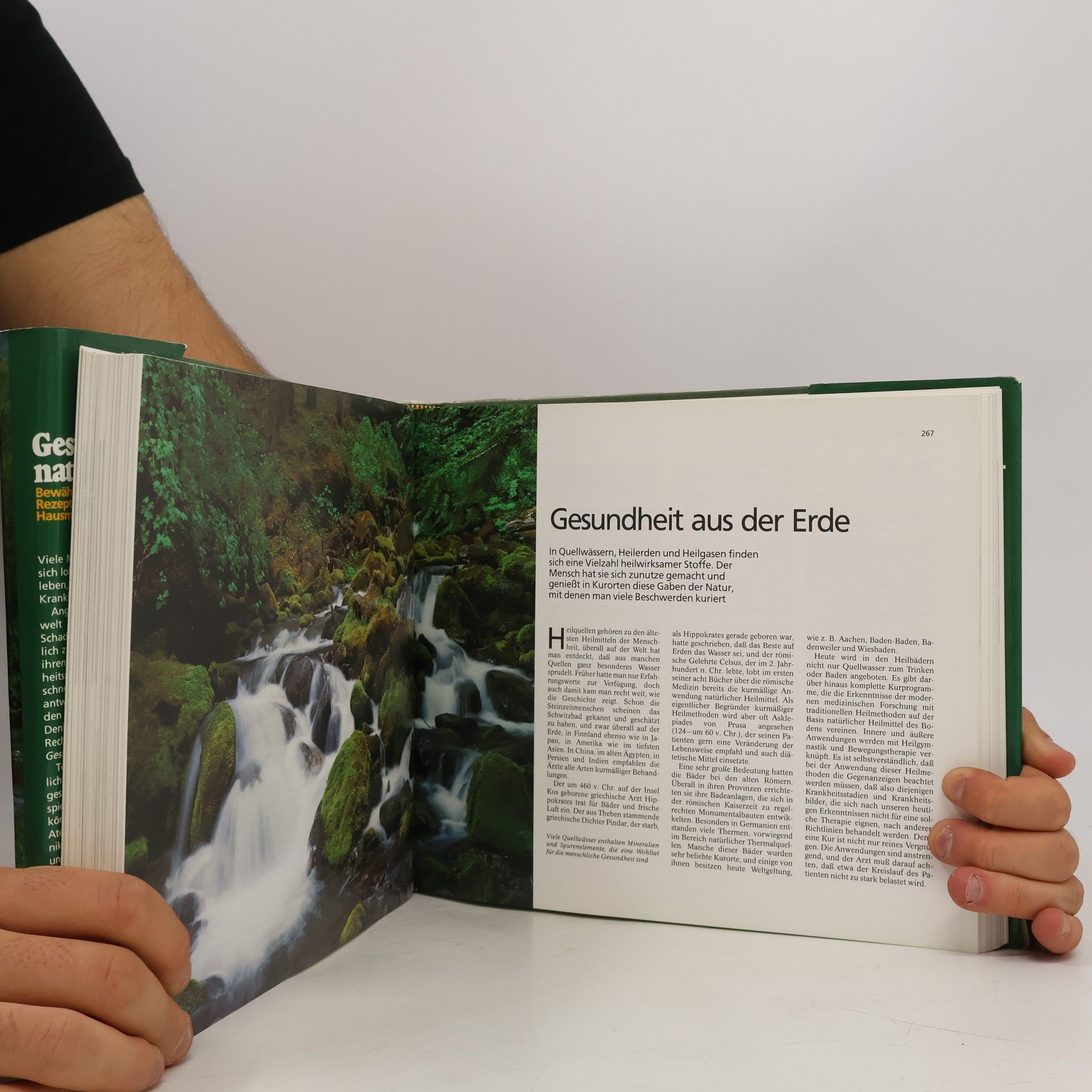 Frank R. Bahr Gesünder leben - natürlich heilen : bewährte Methoden, Rezepte, Hausmittel