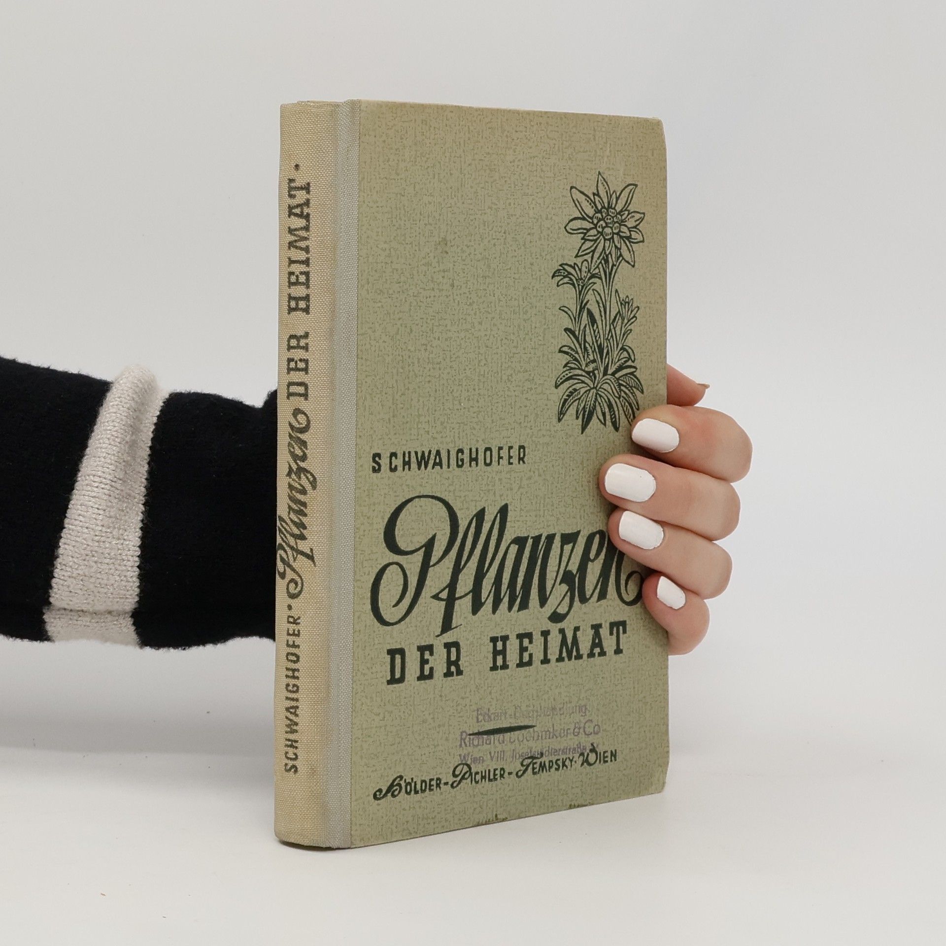 Anton Schwaighofer Pflanzen der heimat