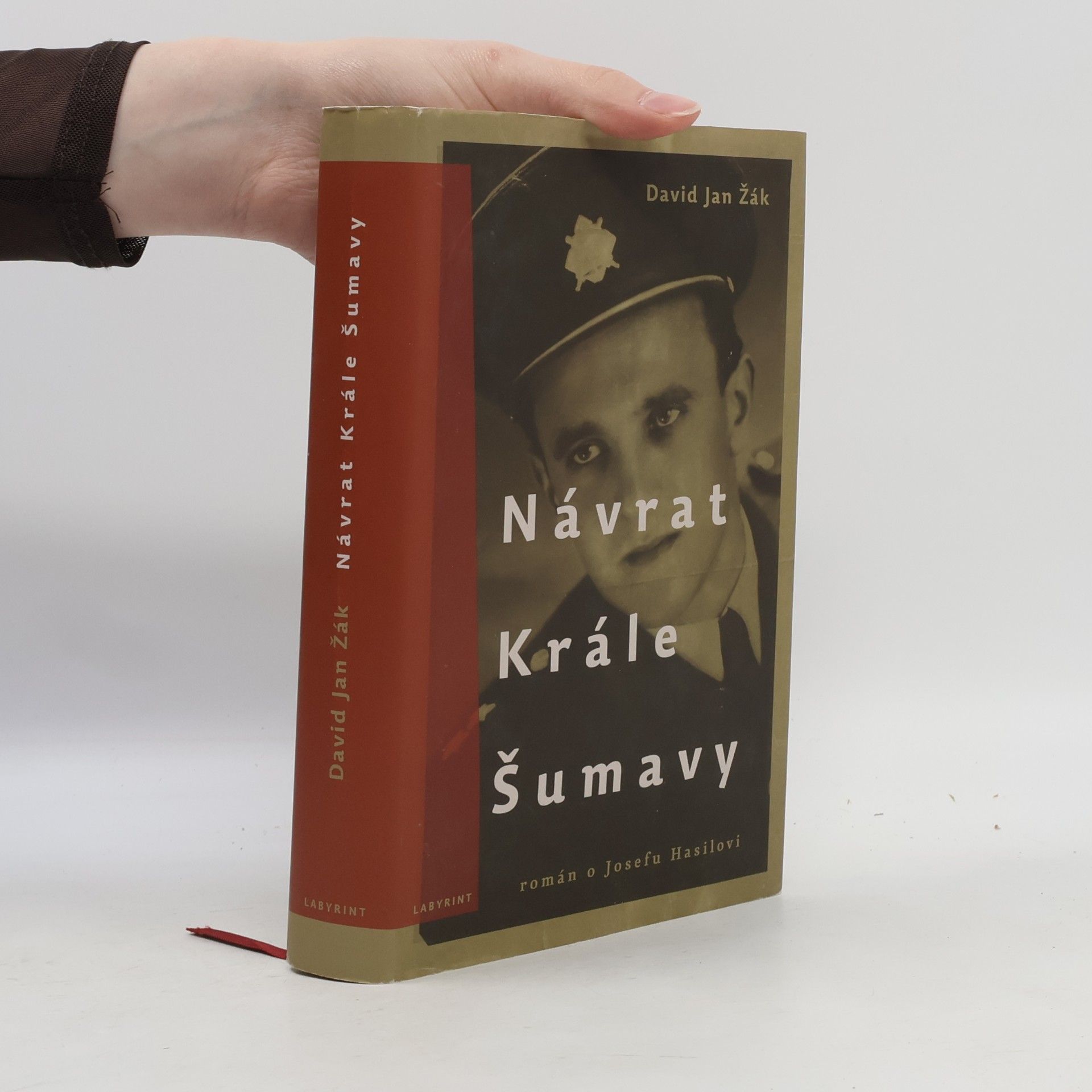 David Jan Žák Návrat Krále Šumavy