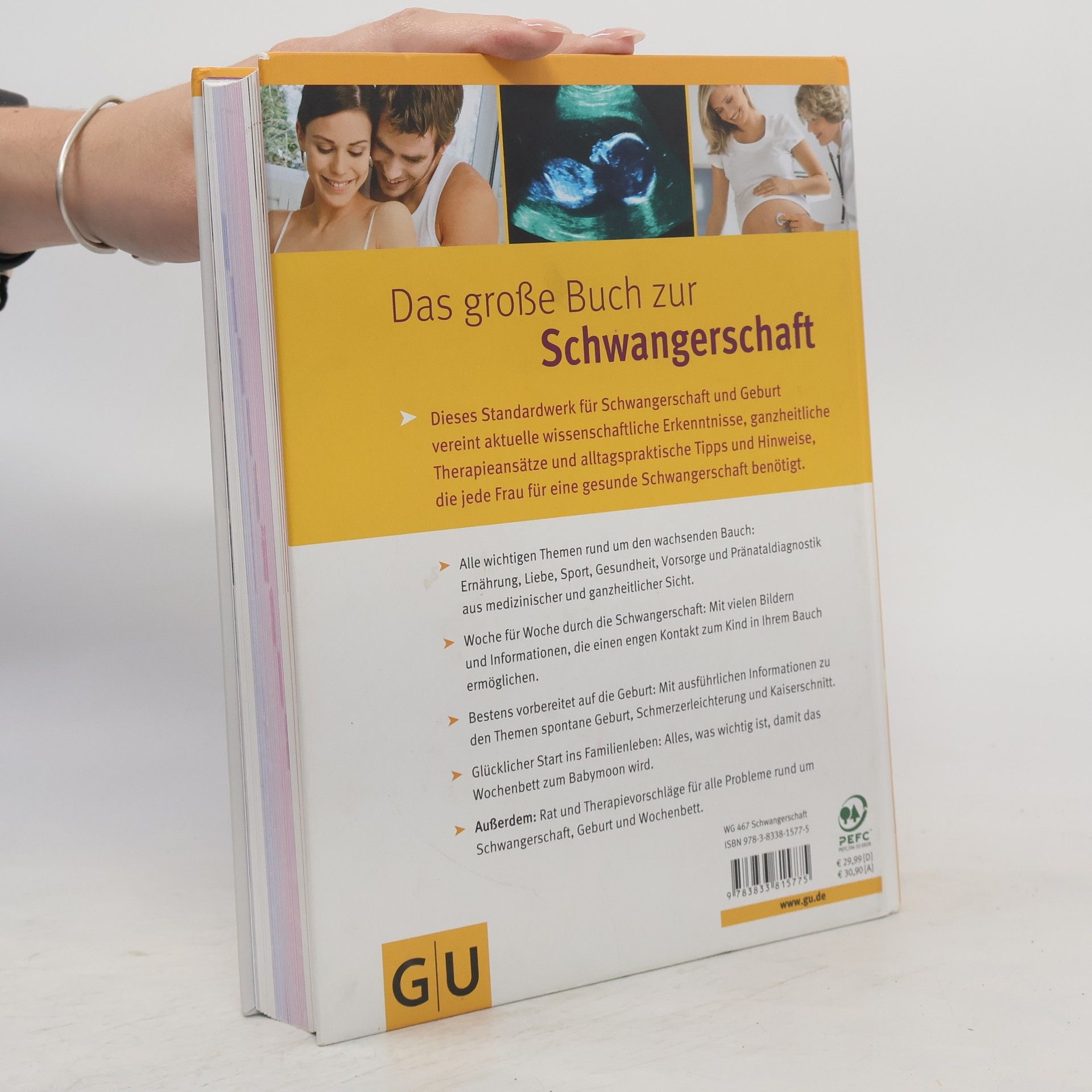 Annette Nolden-Thommen Das große Buch zur Schwangerschaft