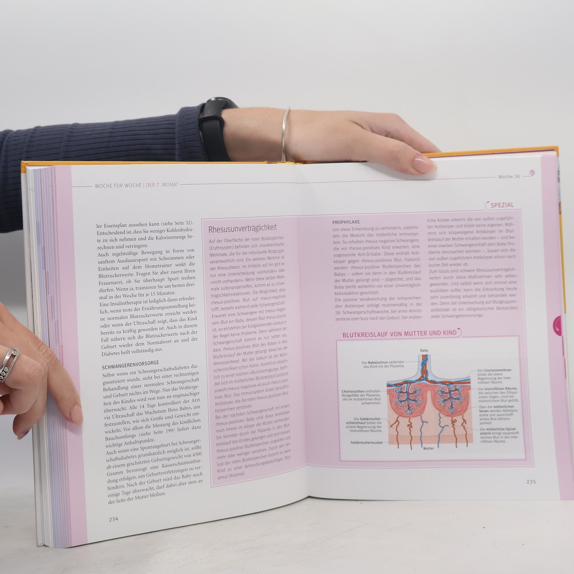 Annette Nolden-Thommen Das große Buch zur Schwangerschaft