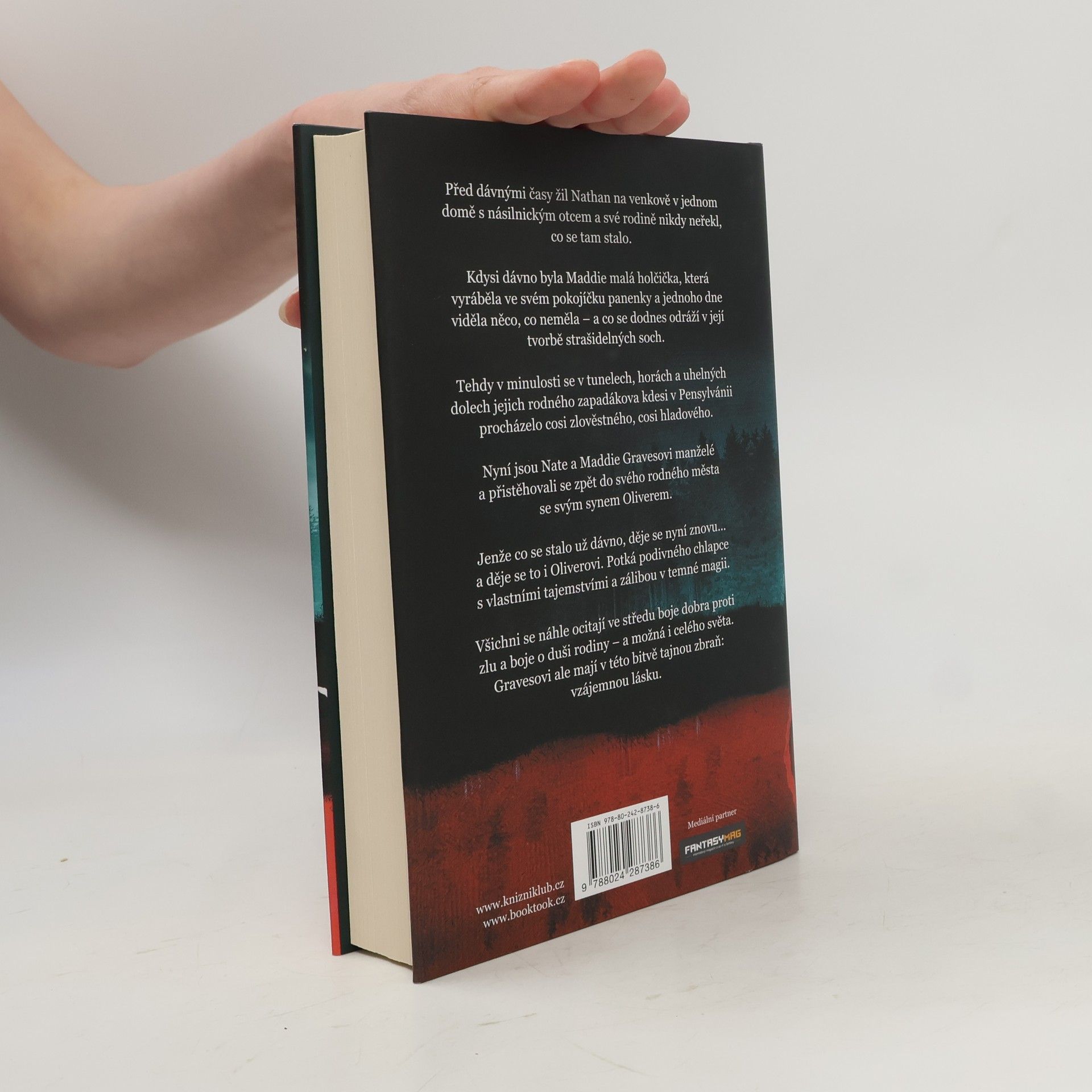 Chuck Wendig Kniha nehod