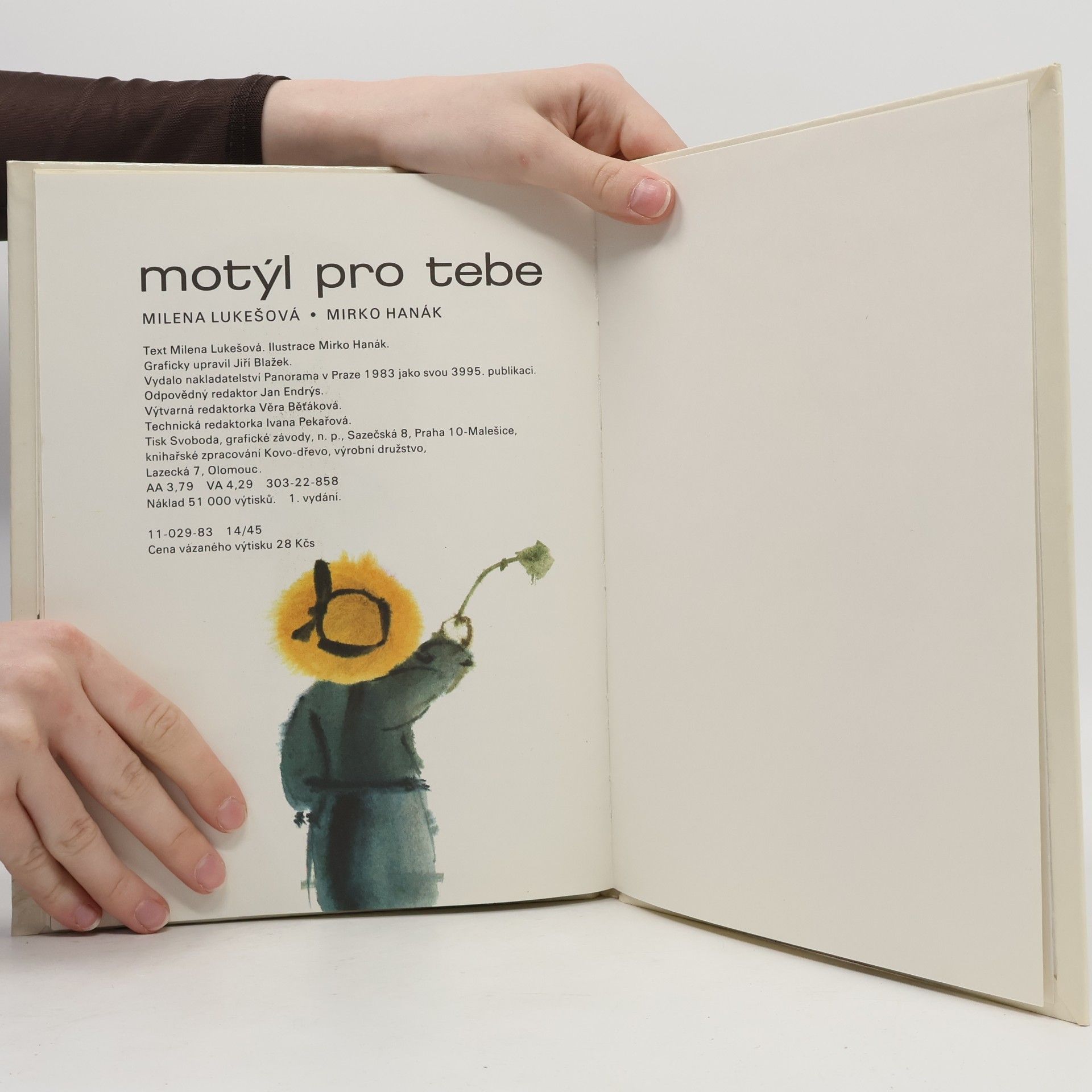 Mirko Hanák Motýl pro tebe