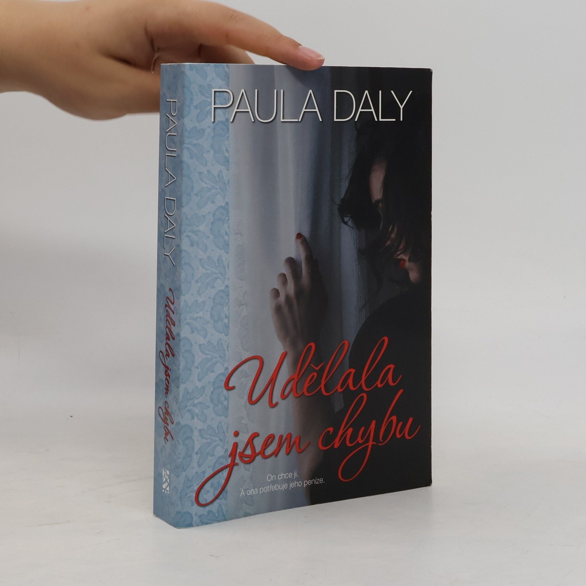 Paula Daly Udělala jsem chybu