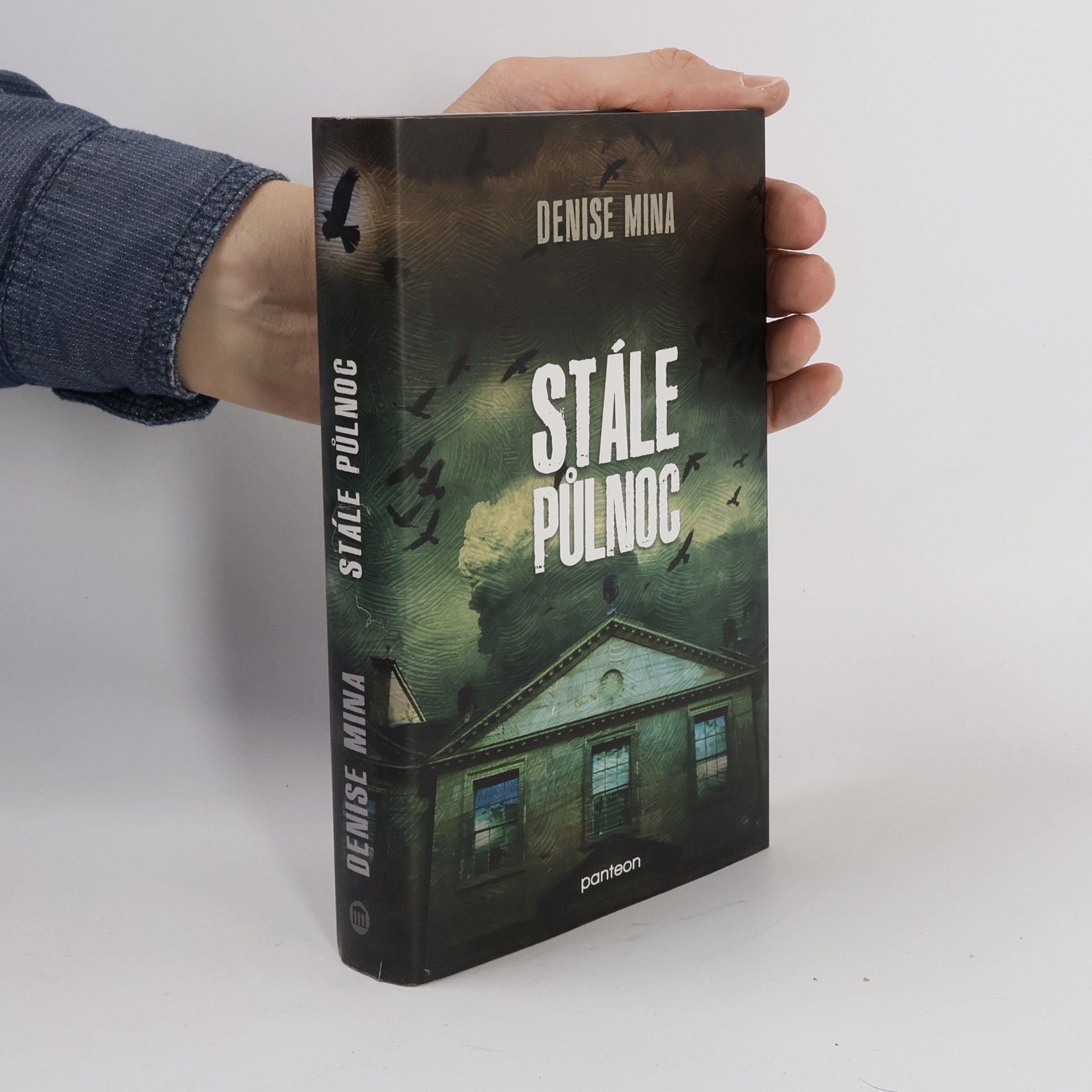 Denise Mina Stále půlnoc