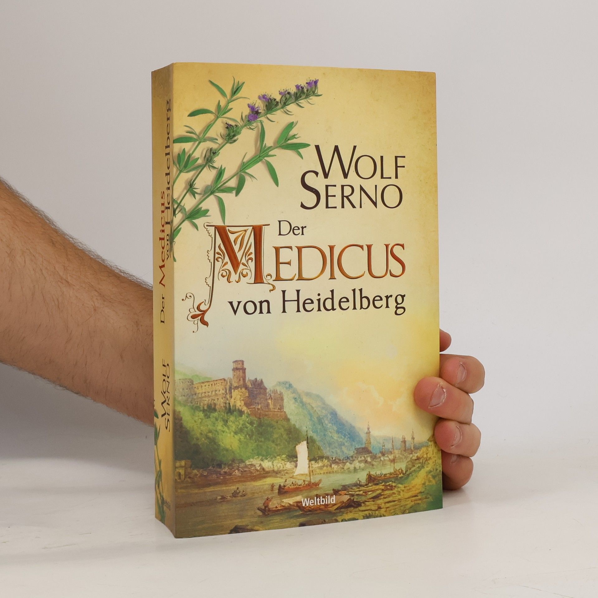 Wolf Serno Der Medicus von Heidelberg