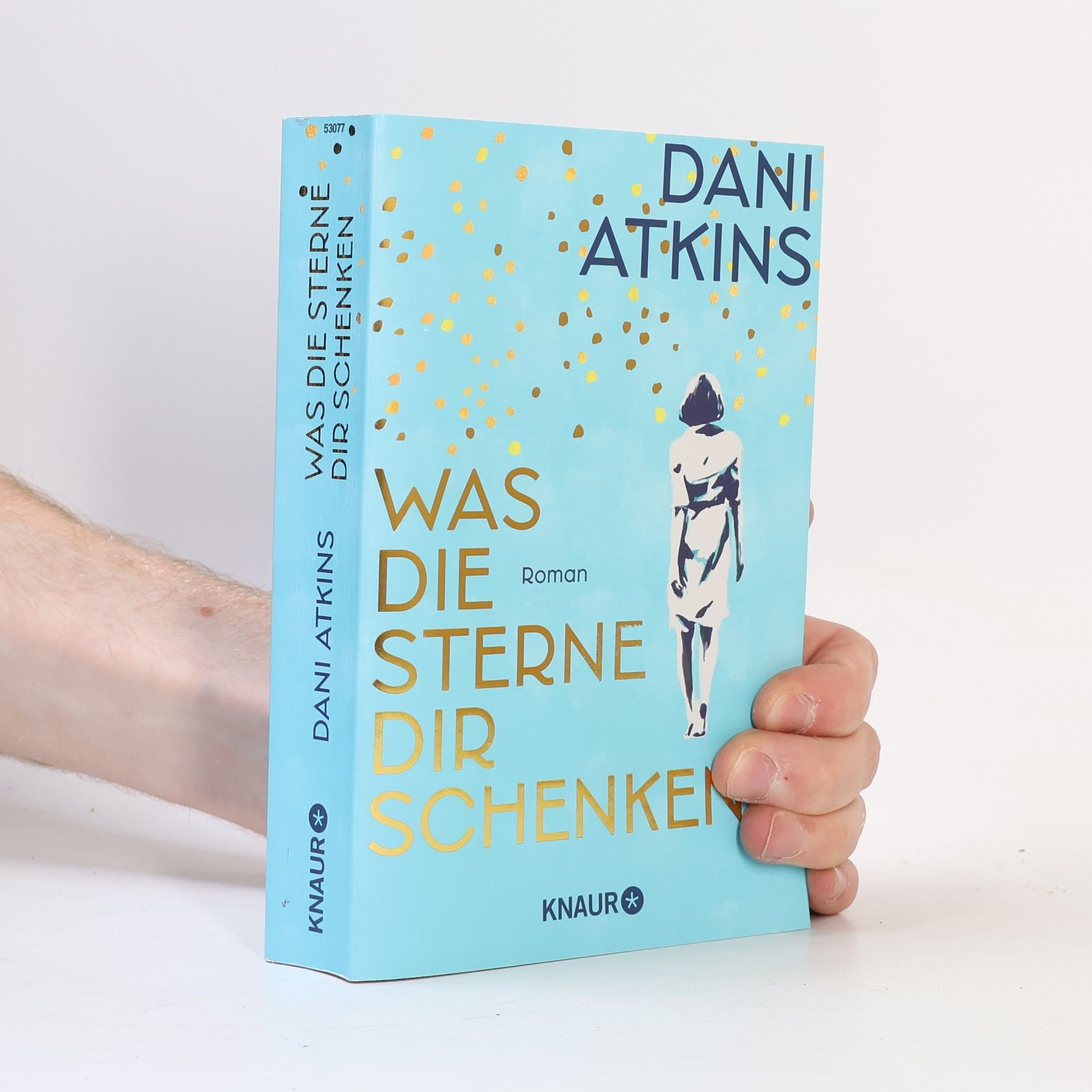 Dani Atkins Was die Sterne dir schenken