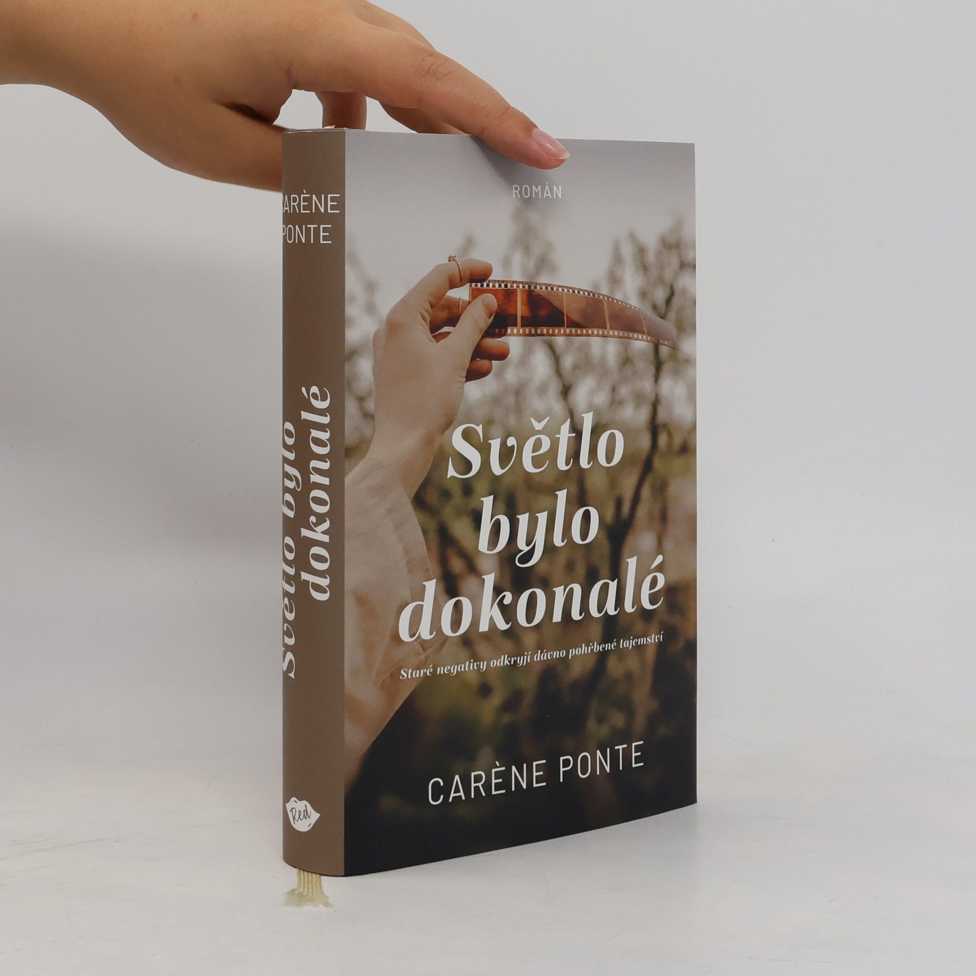 Carène Ponte Světlo bylo dokonalé