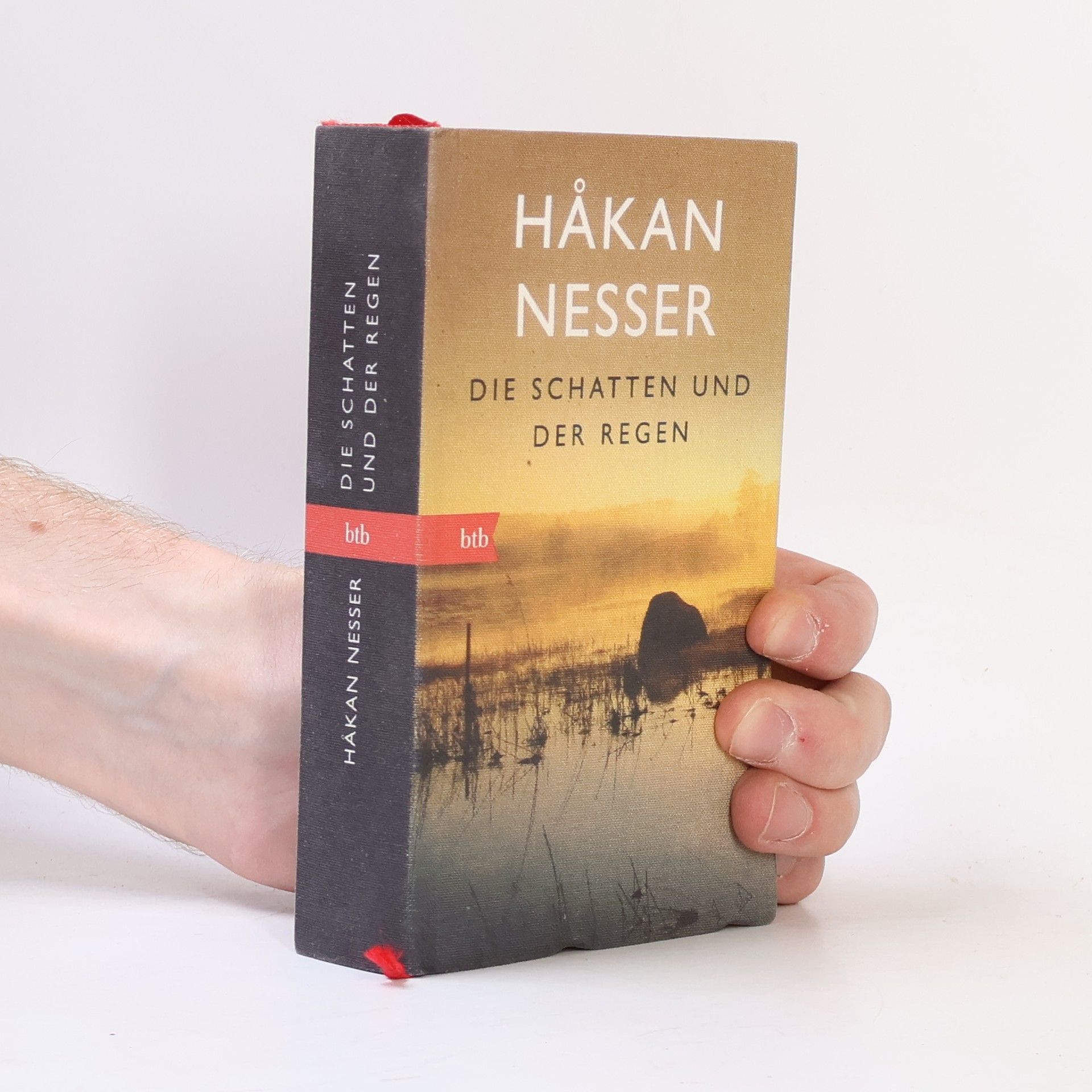 Hakan Nesser Die Schatten und der Regen