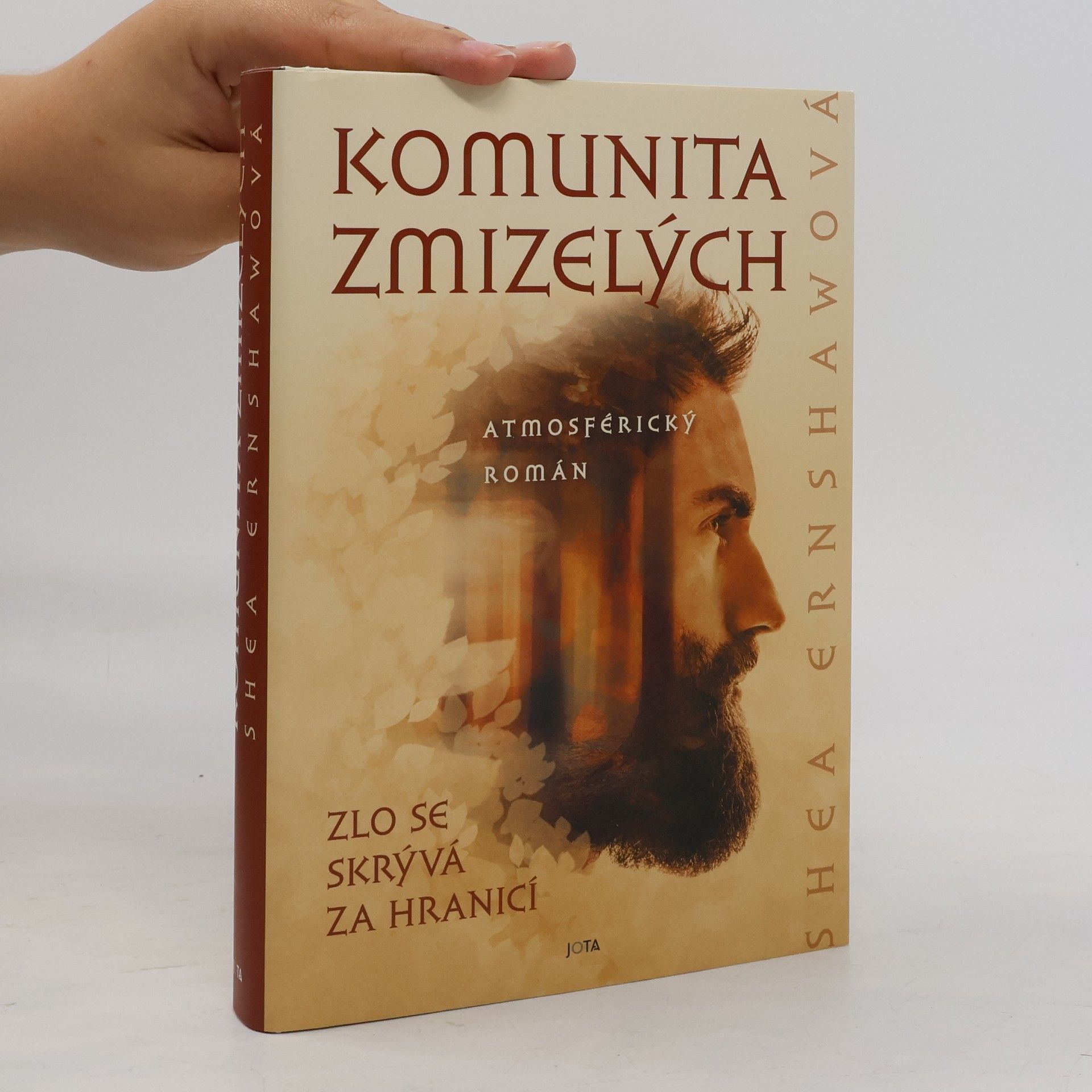 Shea Ernshaw Komunita zmizelých