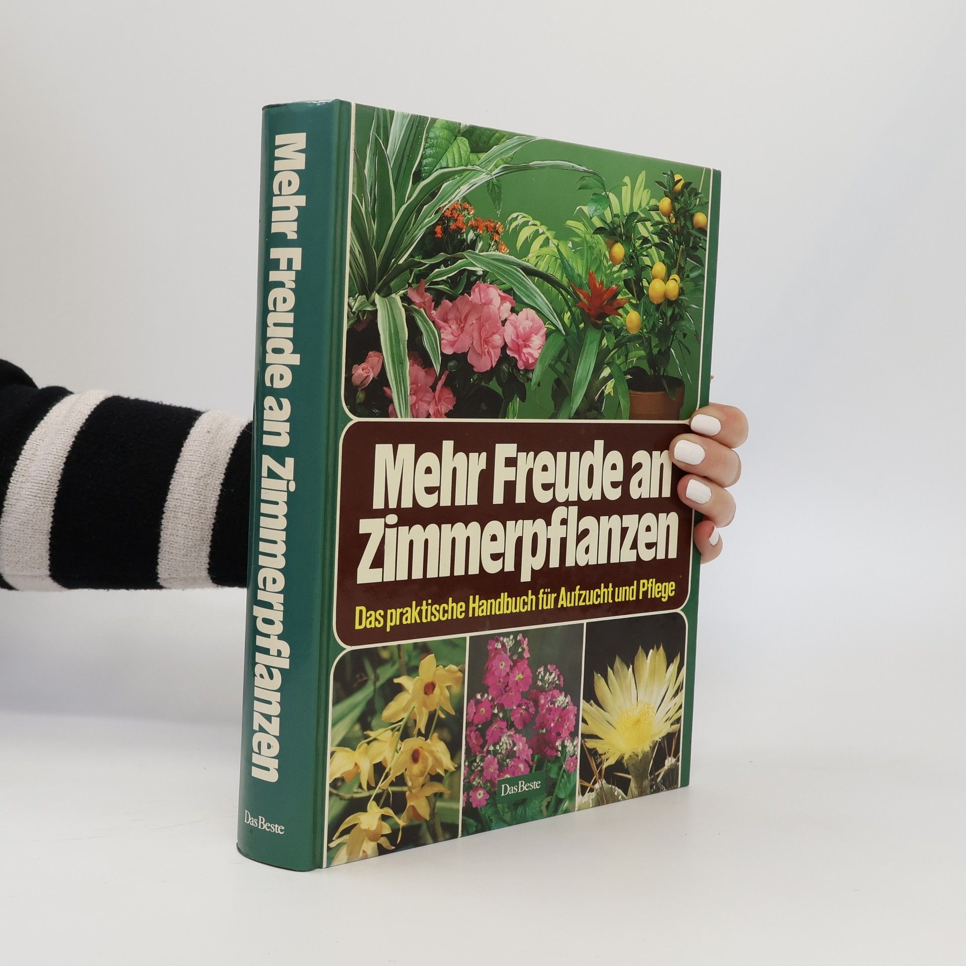 Edgar Gugenhan Mehr Freude an Zimmerpflanzen