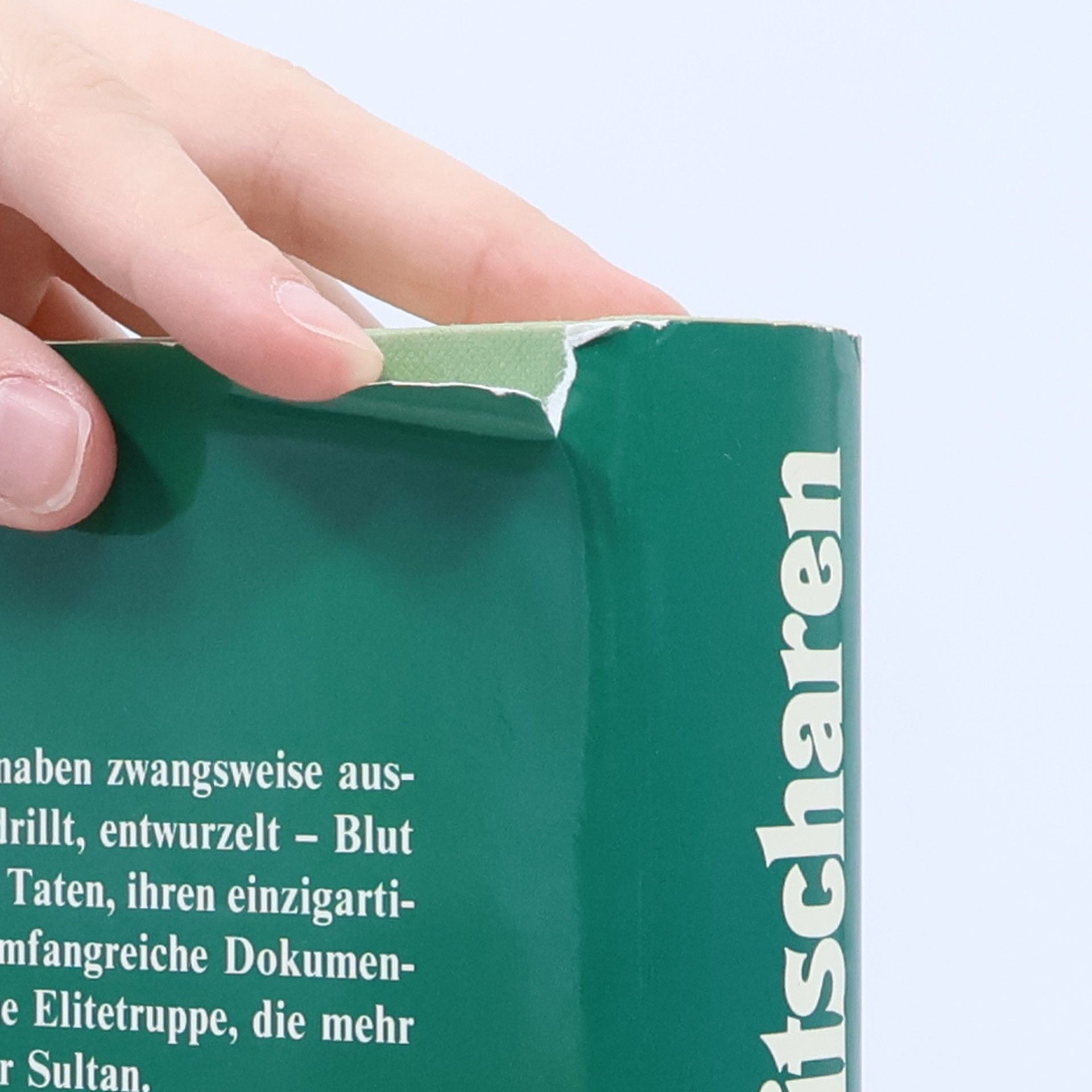 Gerhard Schweizer Die Janitscharen