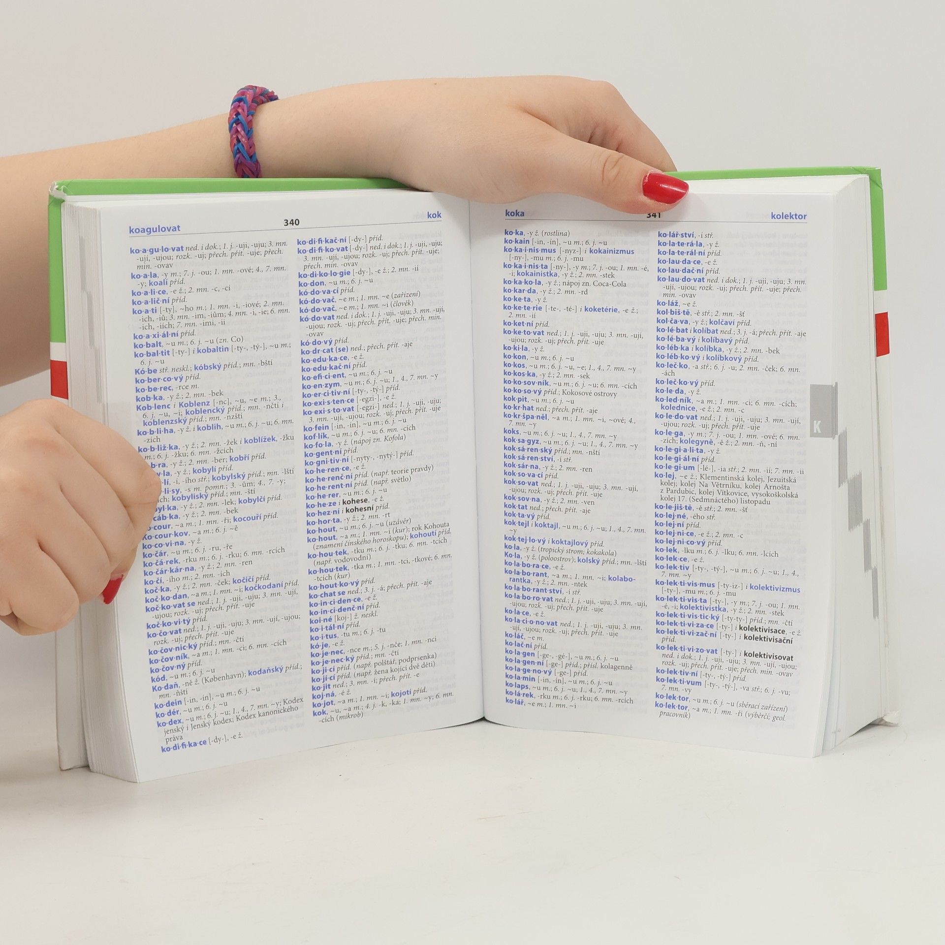 Autorenkollektiv Pravidla českého pravopisu