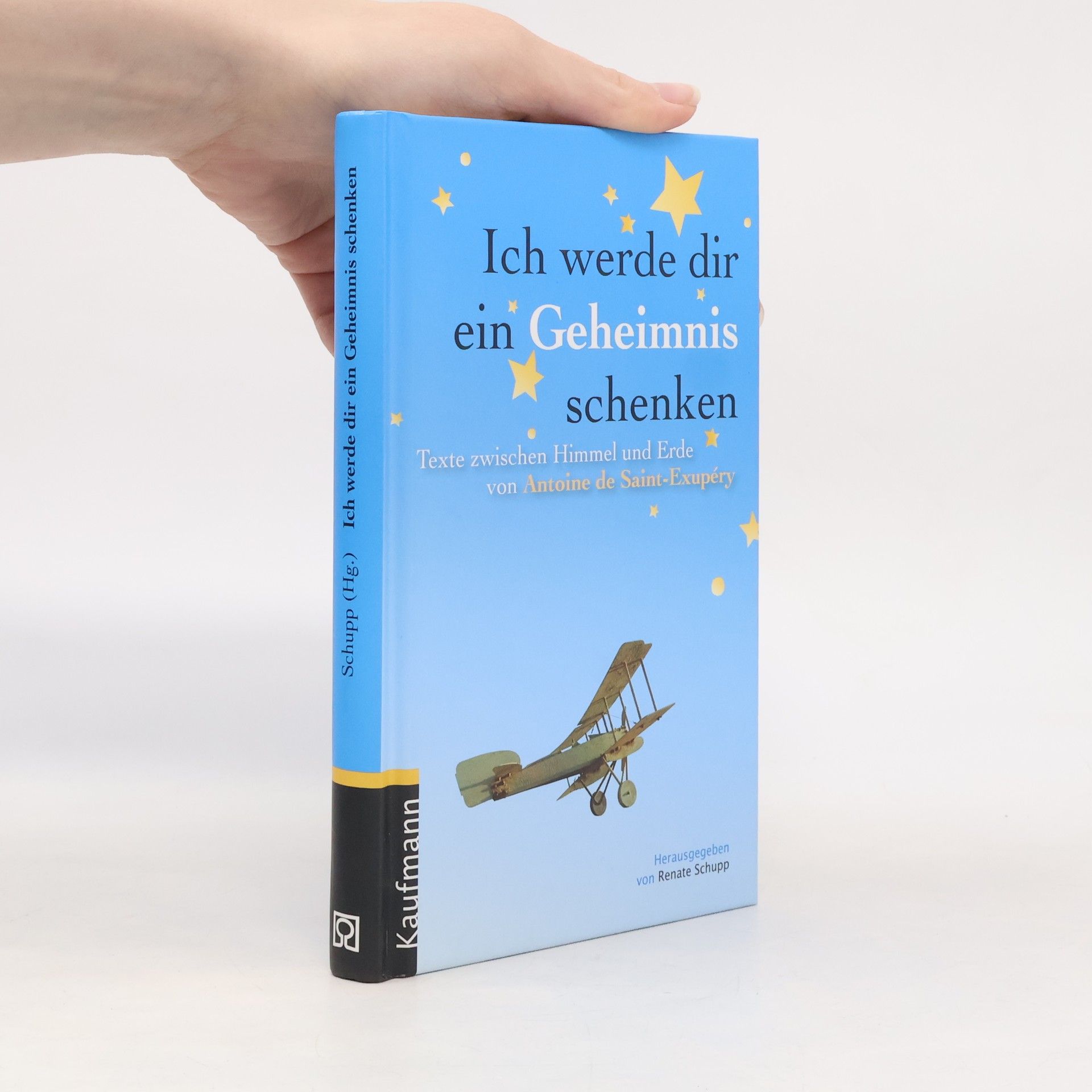 Renate Schupp Ich werde dir ein Geheimnis schenken
