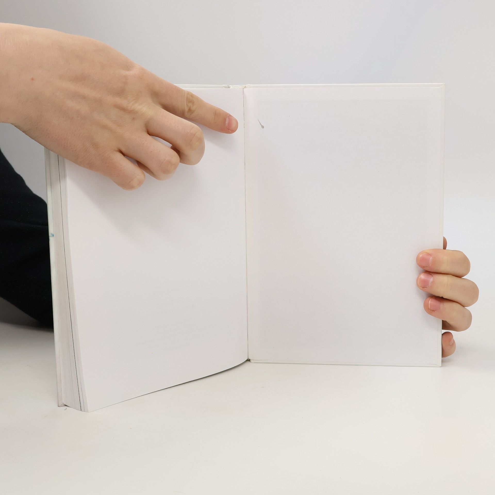 Helena Růžičková Deník mezi životem a smrtí
