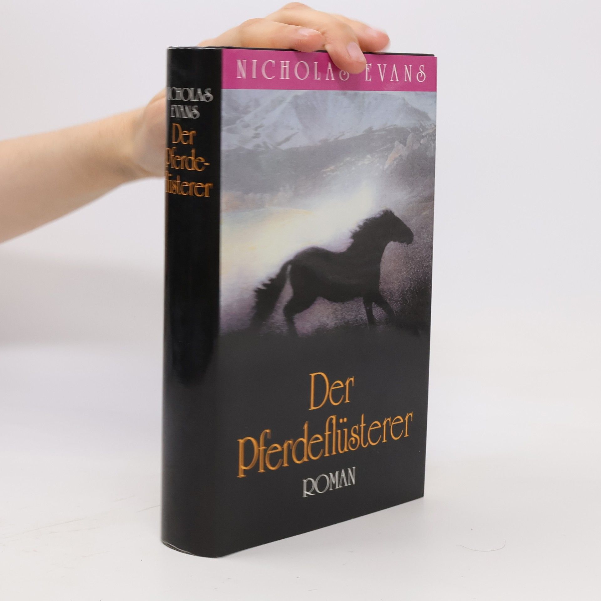 Nicholas Evans Der Pferdeflüsterer