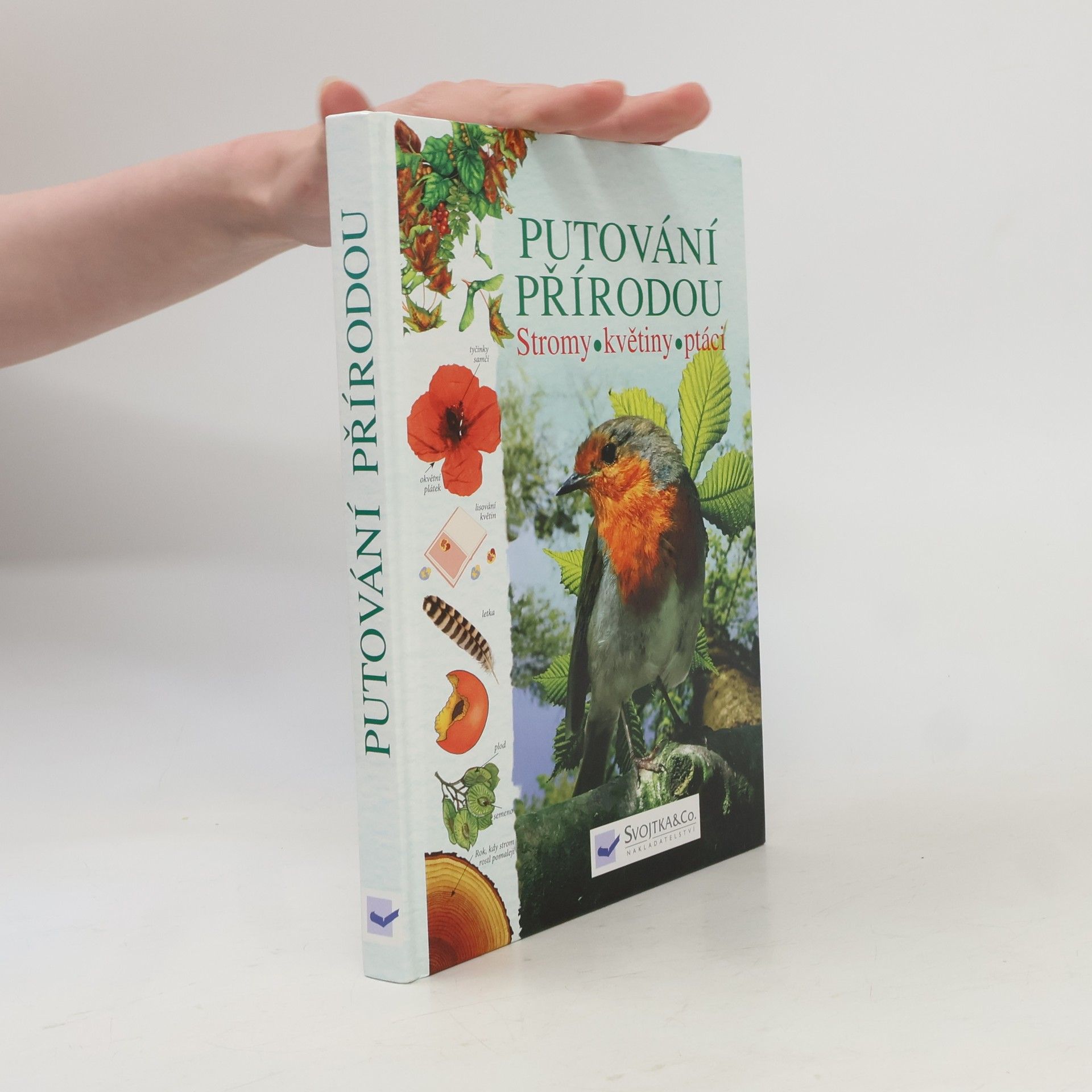 Autorenkollektiv Putování přírodou: Stromy, květiny, ptáci