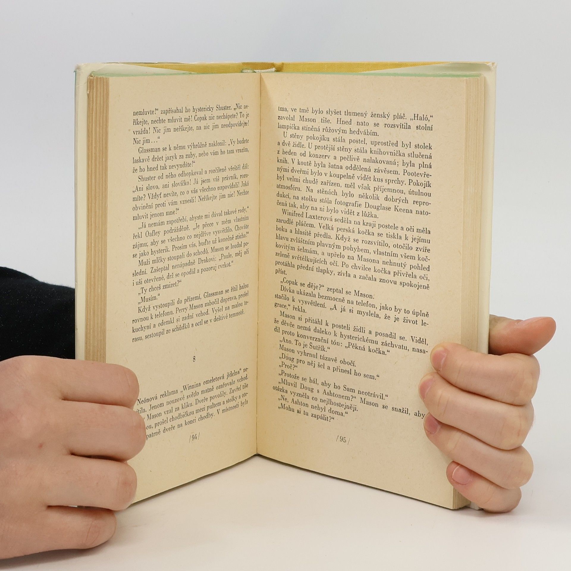 Erle Stanley Gardner Případ domovníkovy kočky