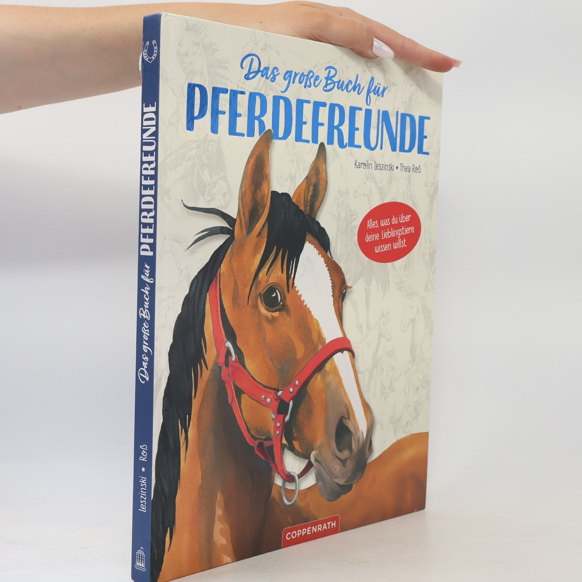 Karolin Leszinski Das große Buch für Pferdefreunde