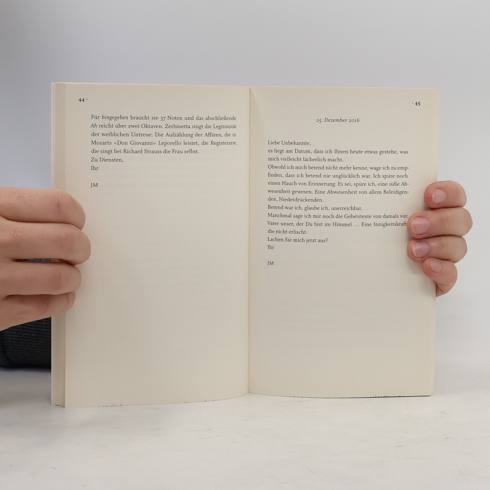 Martin Walser Gar alles oder Briefe an eine unbekannte Geliebte