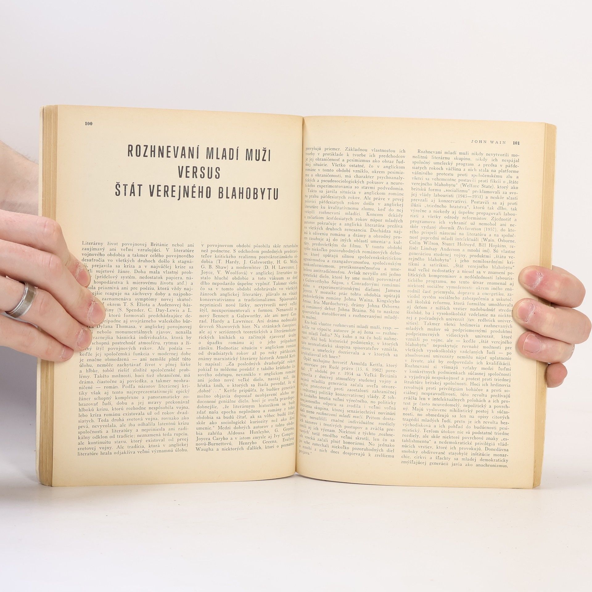 Kolektiv autorů Revue svetovej literatúry 6/1980