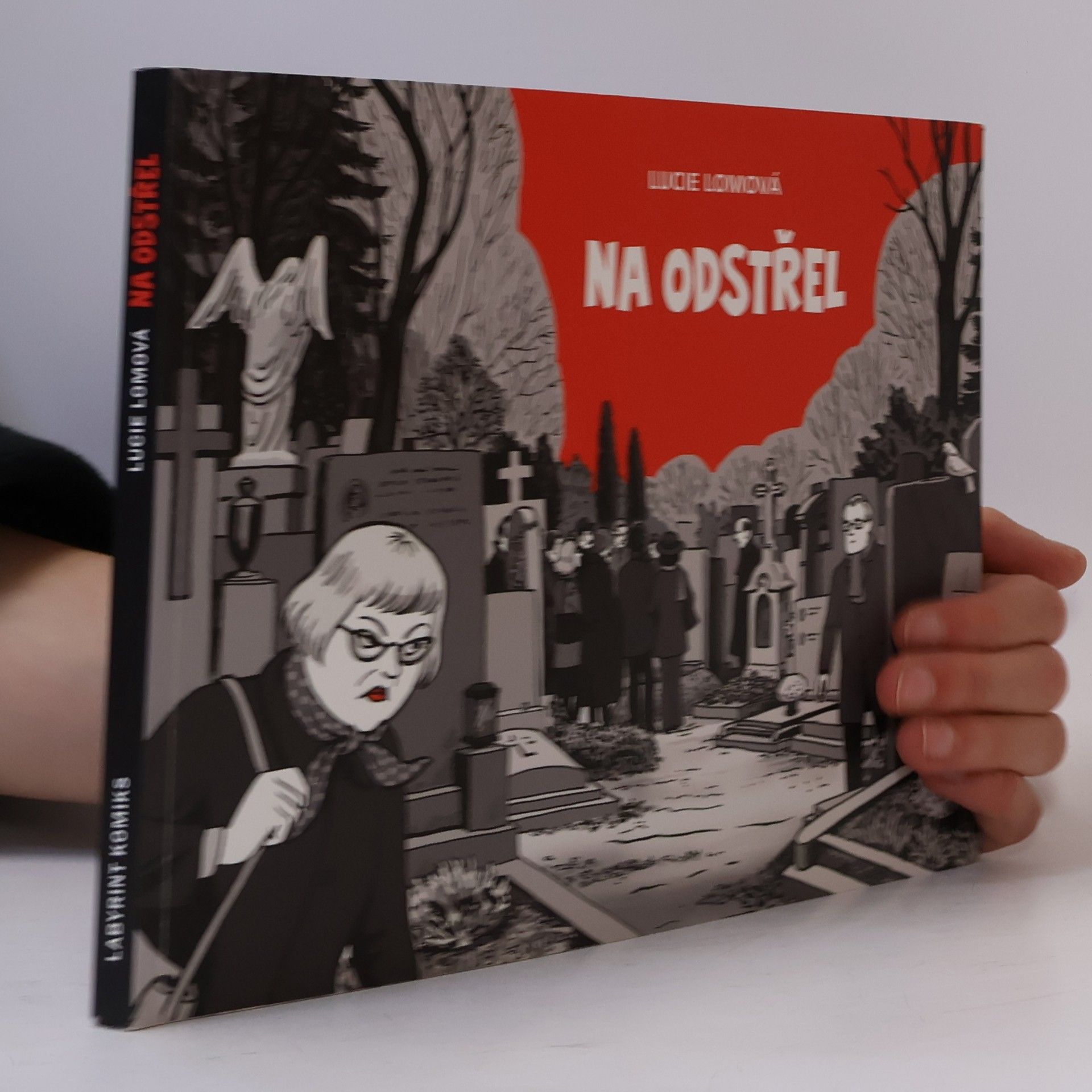 Lucie Lomová Na odstřel: Komiksová detektivka