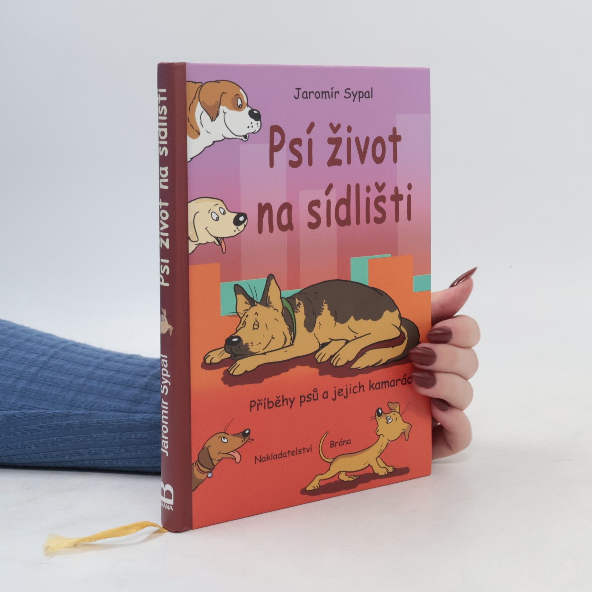 Psí život na sídlišti