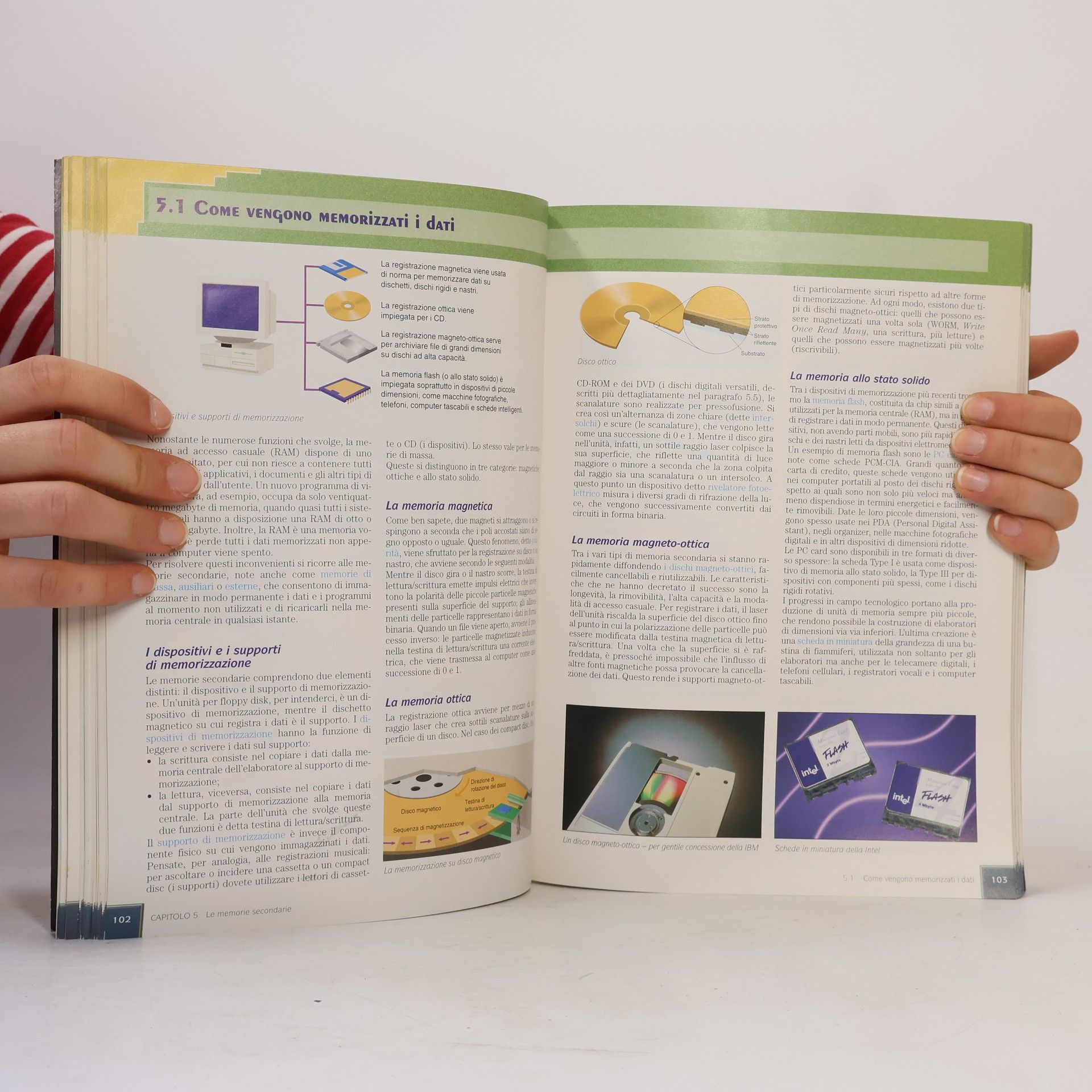Dennis P. Curtin Collana di istruzione scientifica: Informatica di base. Con CD-ROM