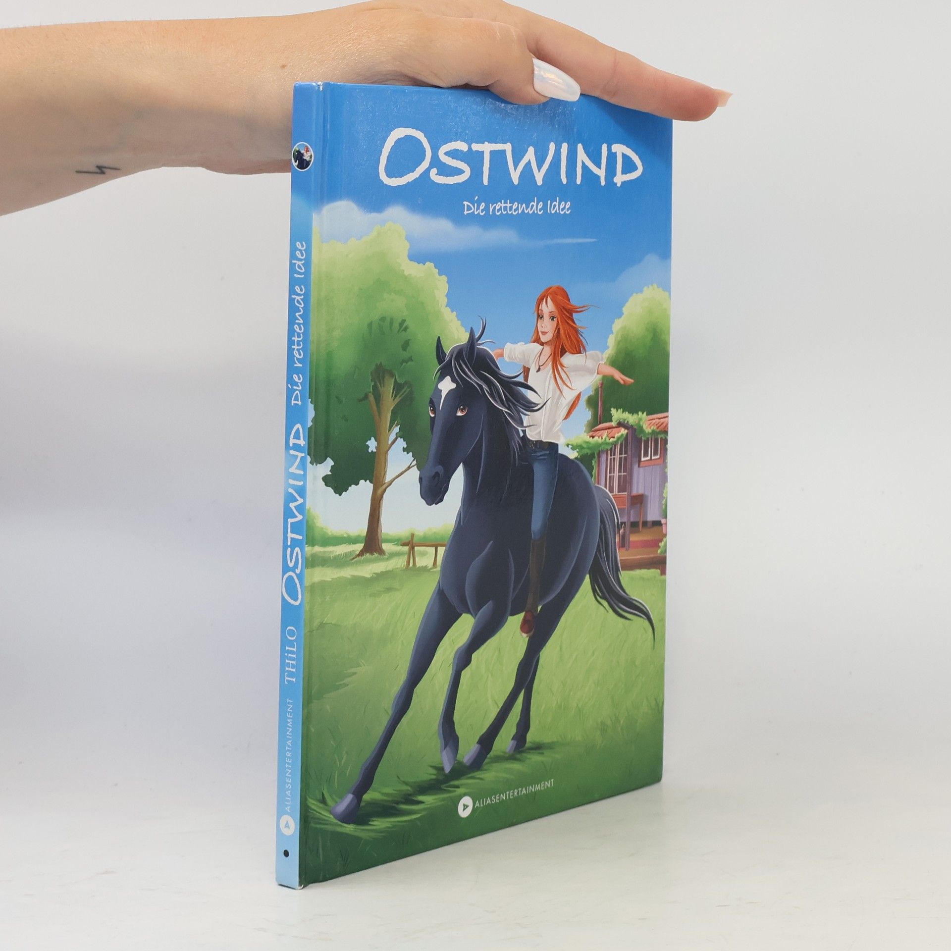 Thilo Petry-Lassak Ostwind - die rettende Idee
