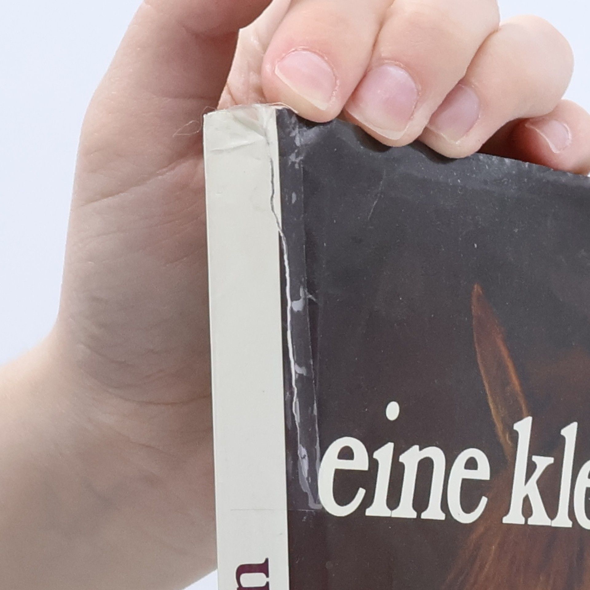 Jill Krementz Vivi, eine kleine Reiterin