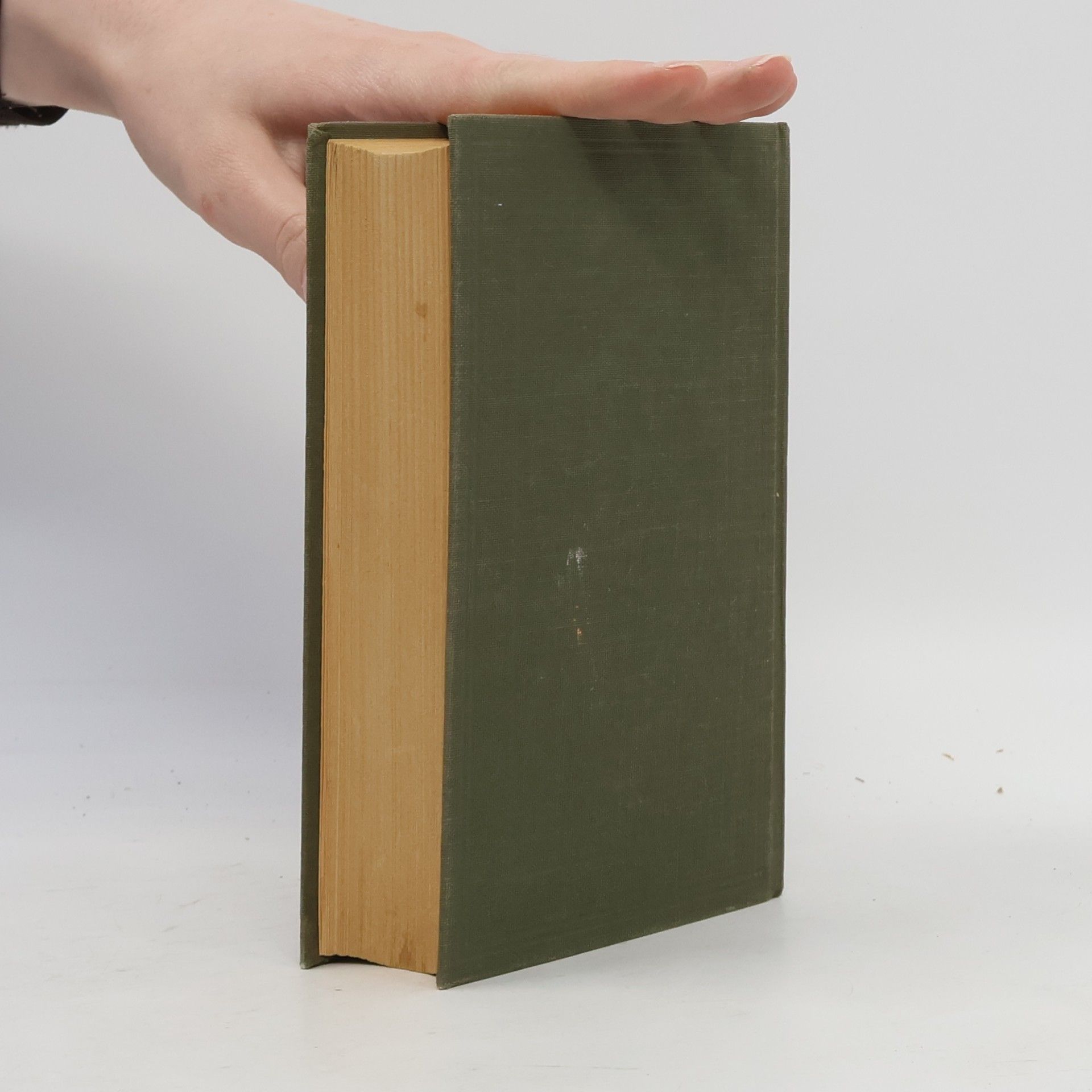 Karl May Der Löwe der Blutrache