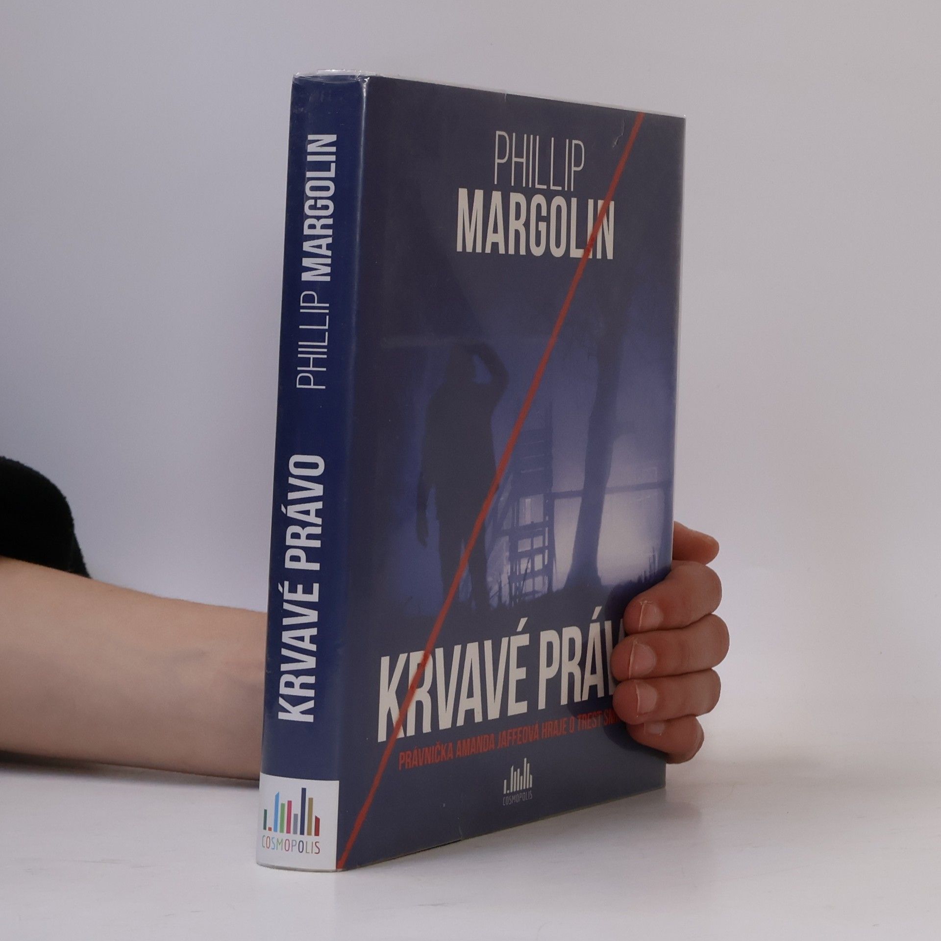 Anna Gibson Krvavé právo. Právnička Amanda Jaffeová hraje o trest smrti