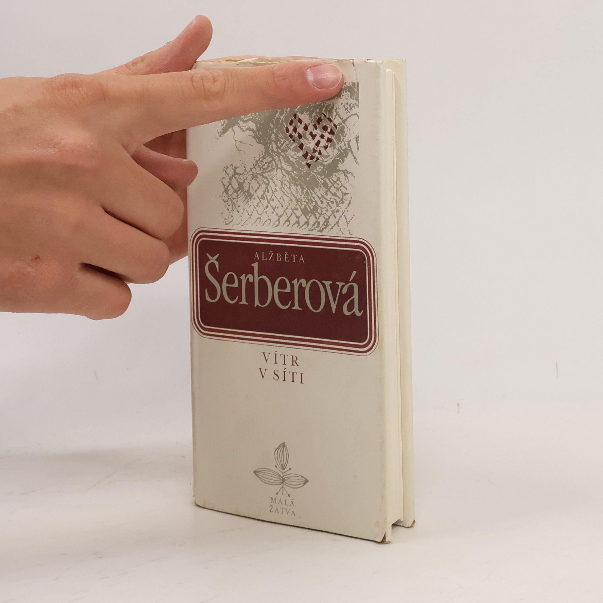 Alžběta Šerberová Vítr v síti