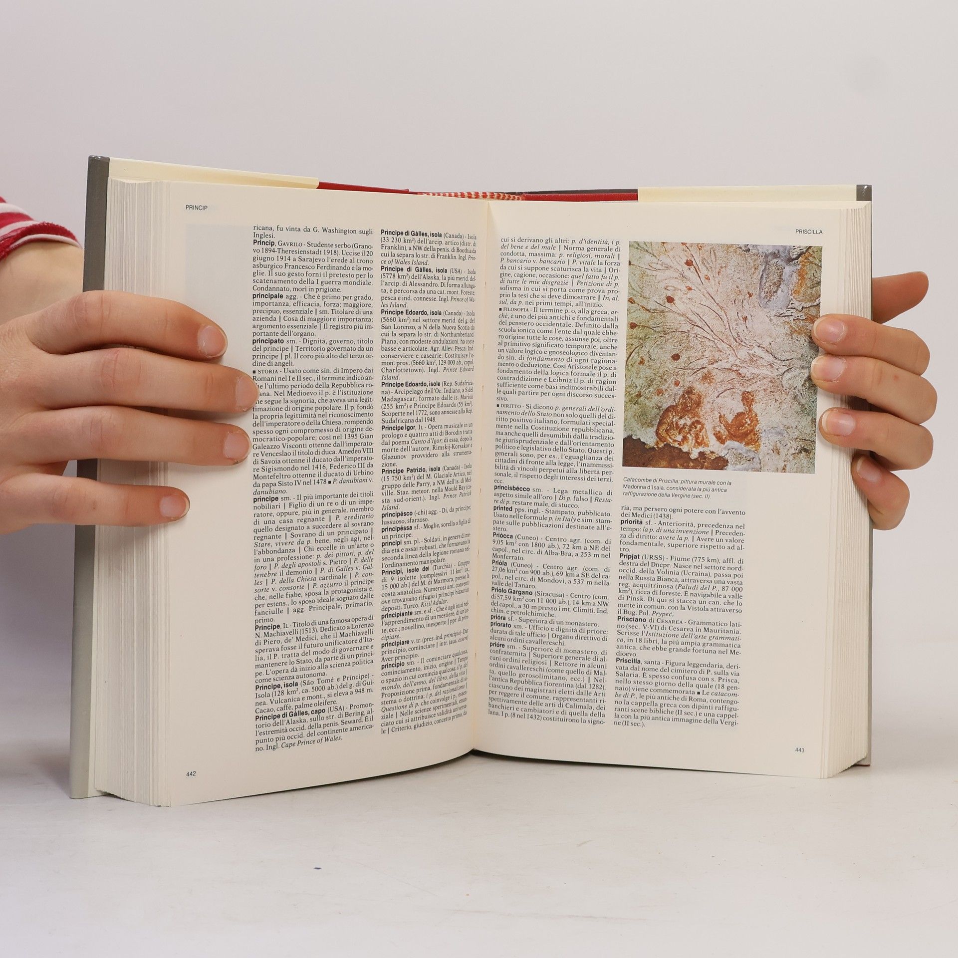 Pare Nuovissima Enciclopedia Generale De Agostini 8
