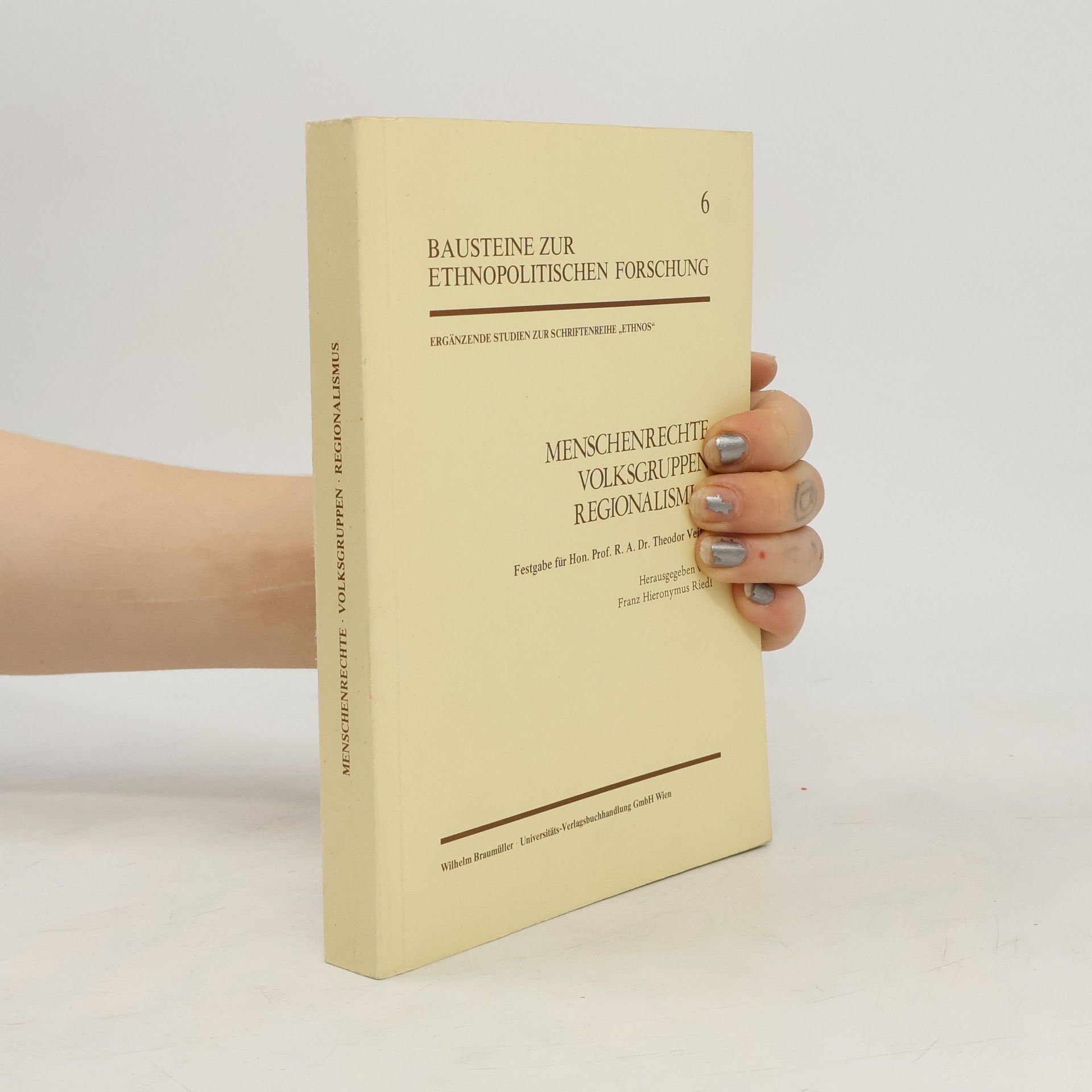Bausteine zur Ethnopolitischen Forschung - 6: Menschenrechte, Volksgruppen, Regionalismus