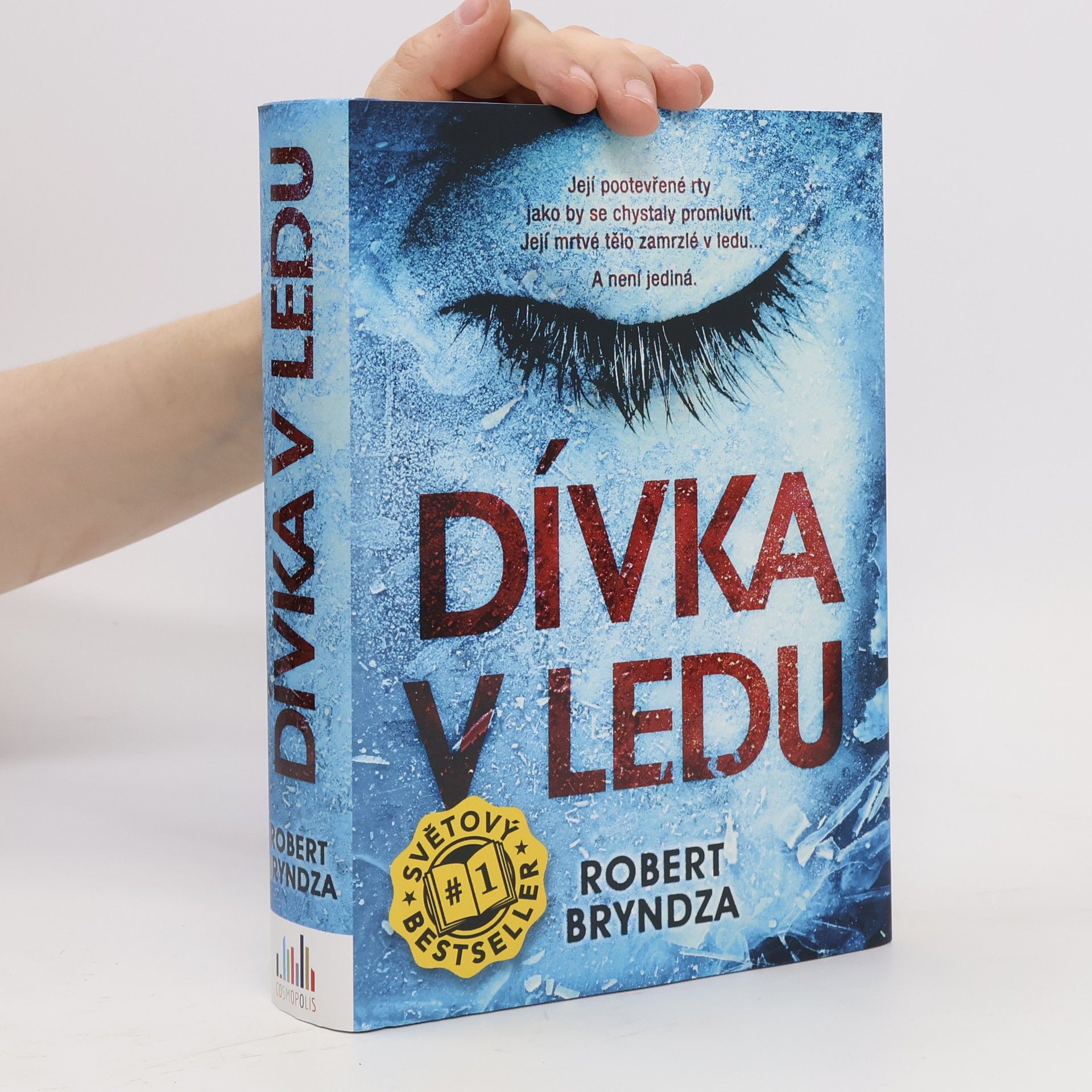 Robert Bryndza Dívka v ledu