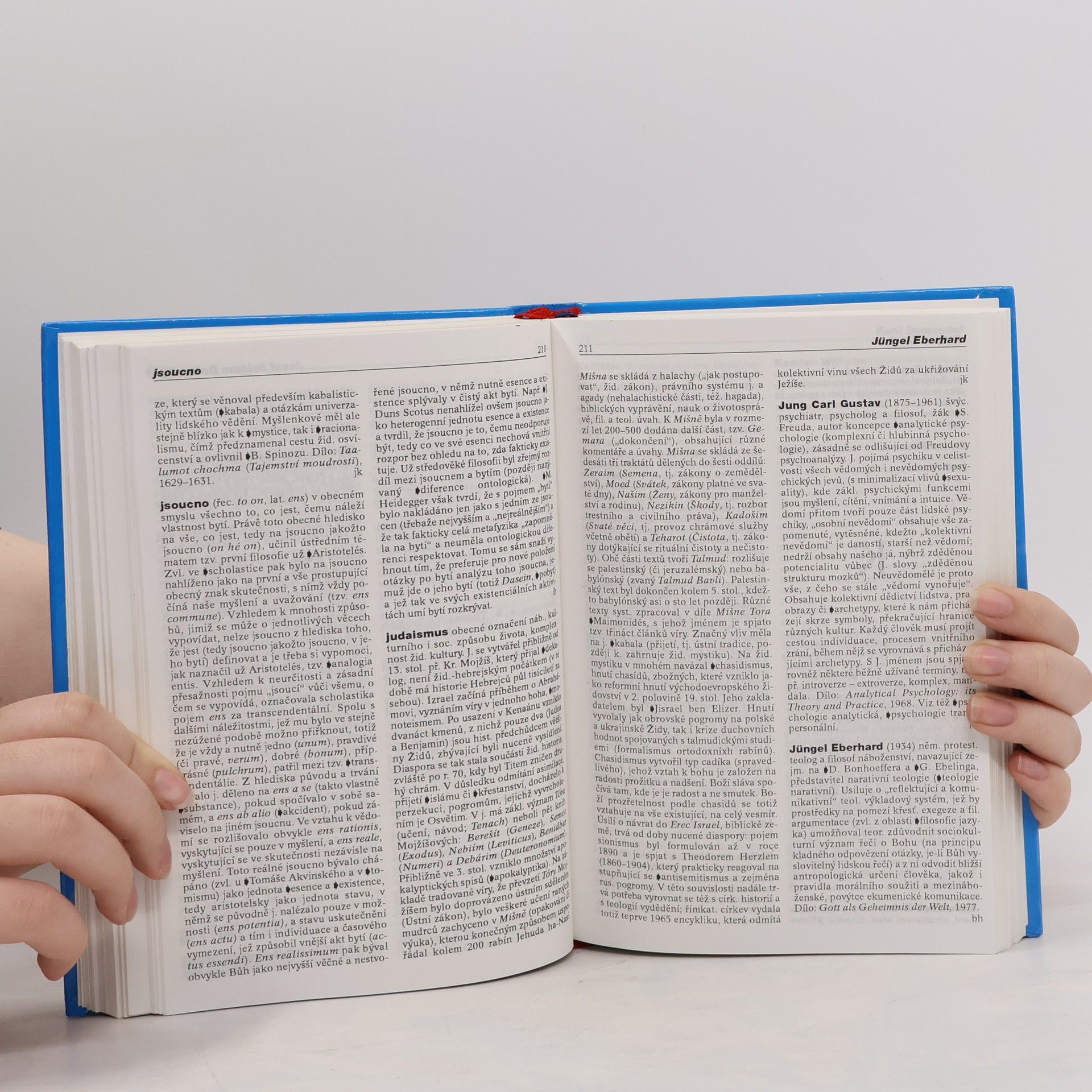 Autorenkollektiv Filosofický slovník