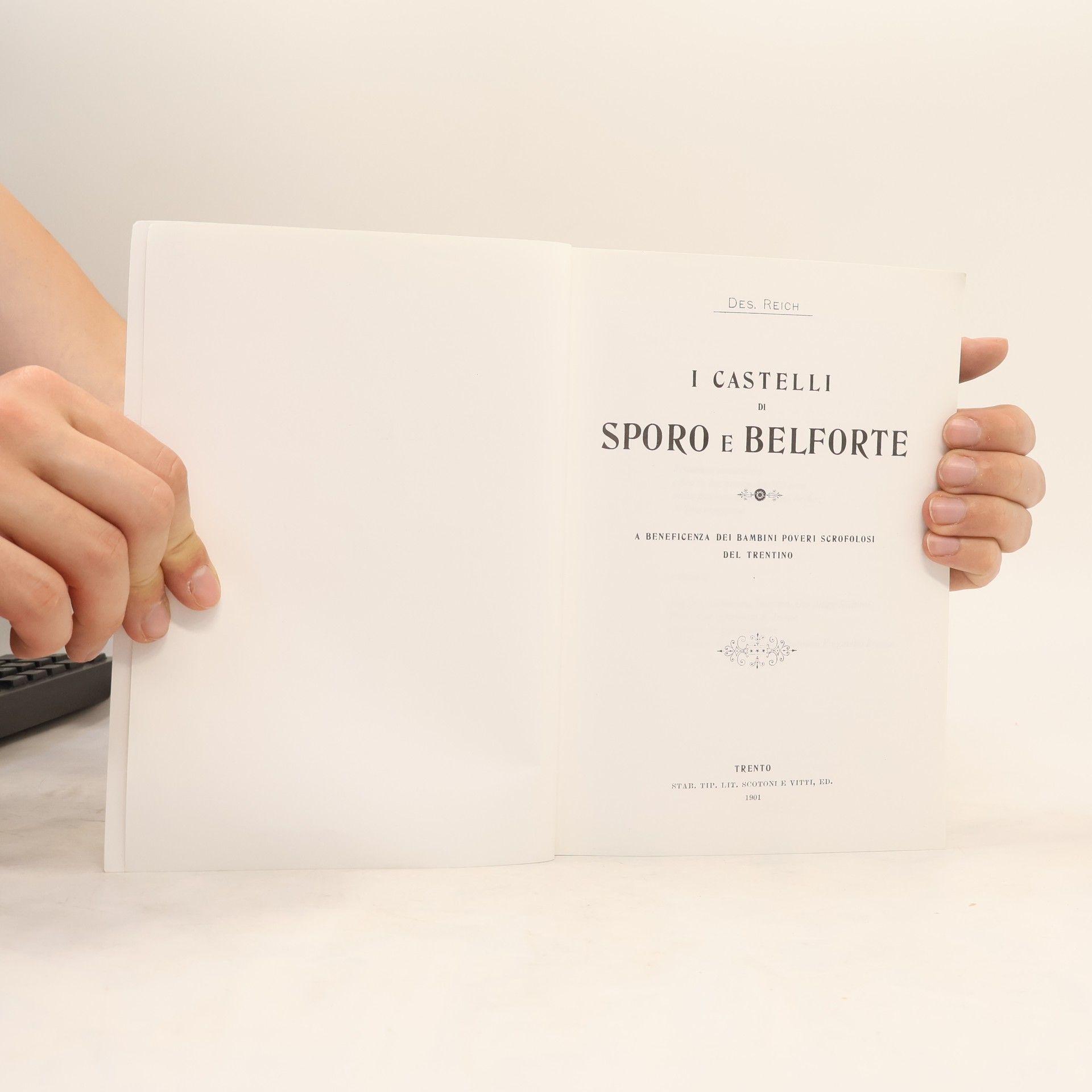 Desiderio Reich I castelli di Sporo e Belforte